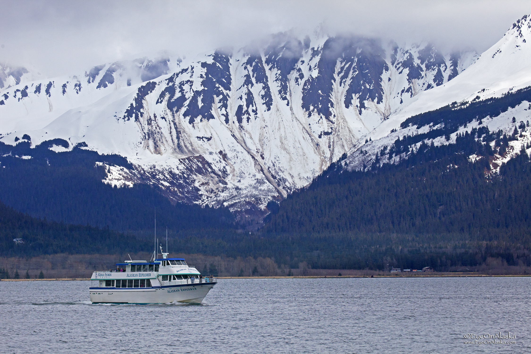 Kenai Fjords tour boat heading out to find migrating Gray Whales on Friday afternoon.