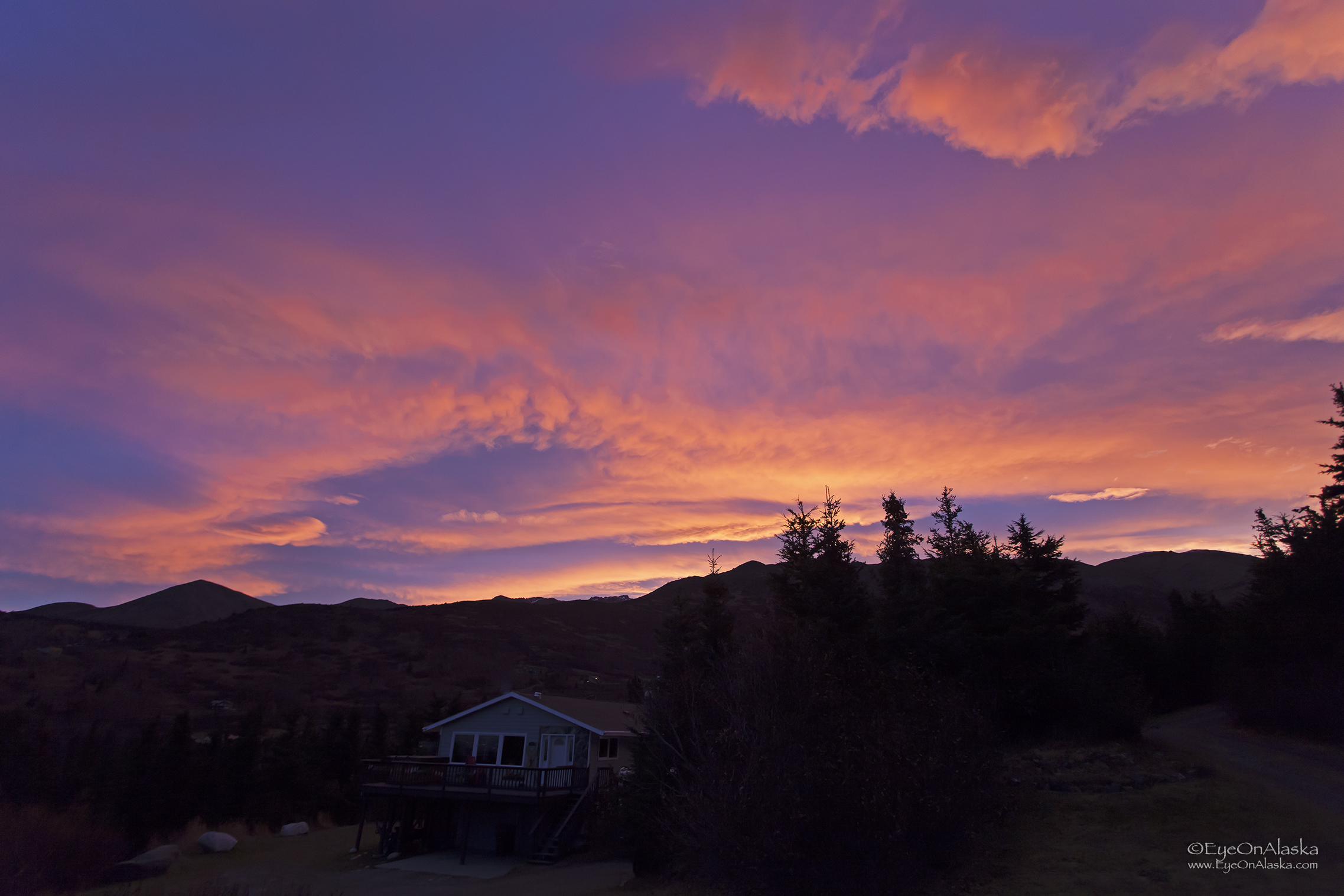 Sunrise at 8am. The entire hillside was glowing in deep orange.
