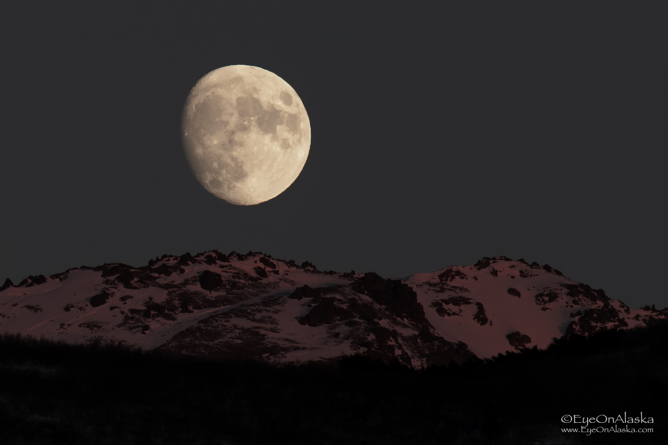click for full-screen