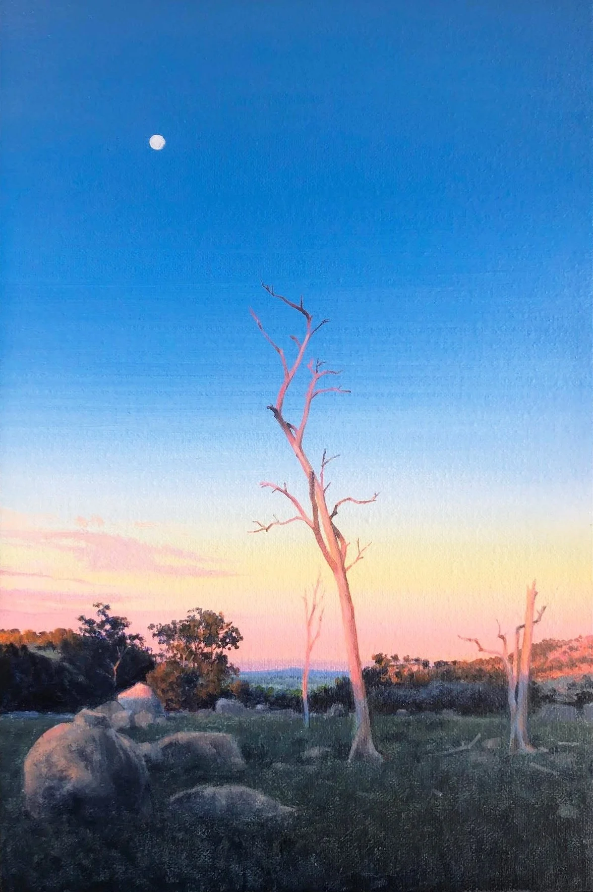 'Reaching for the moon'   30cm x 20cm   oil on canvas