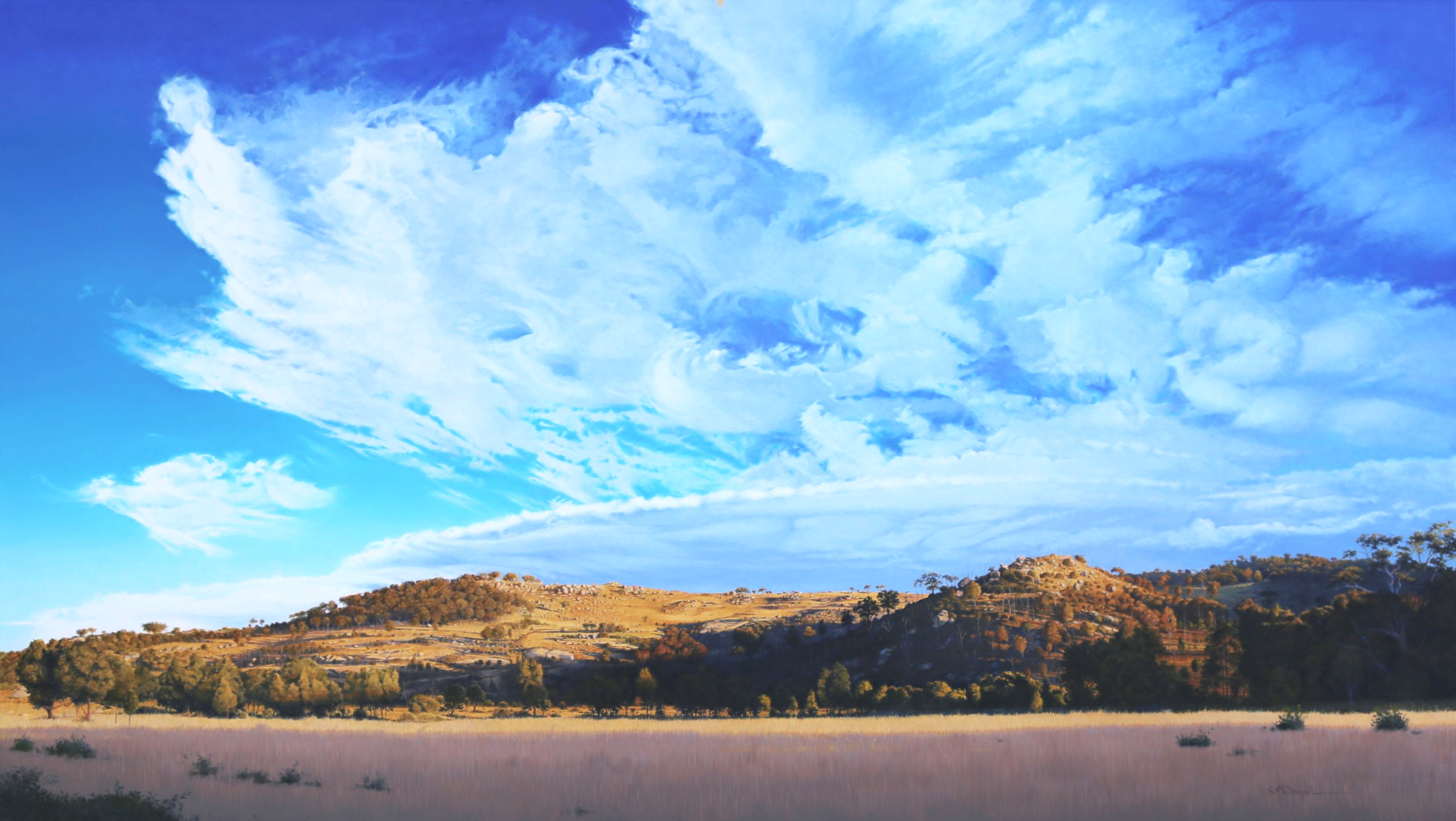 'Catching the light' 90cm x 160cm oil on canvas