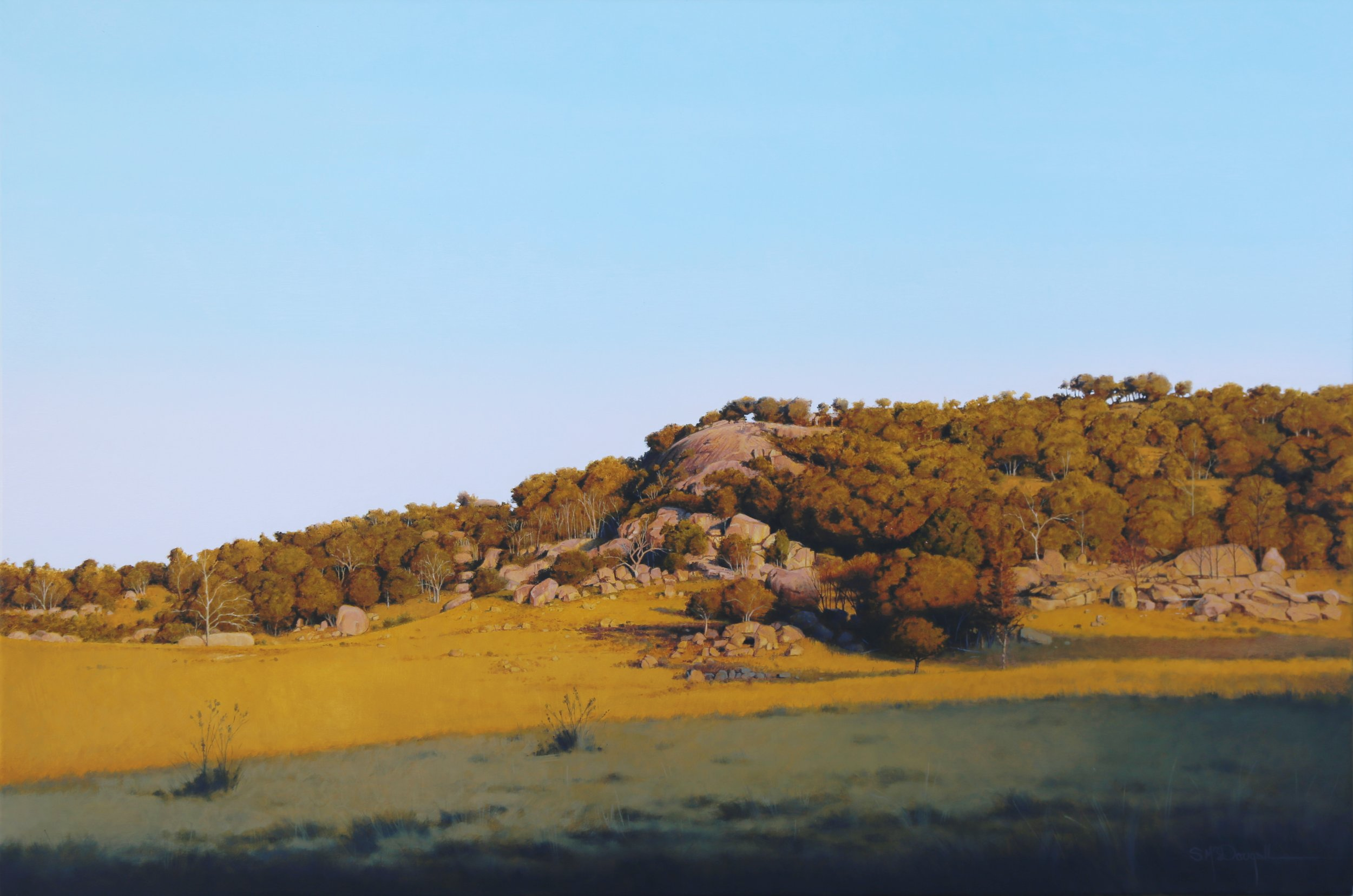 'Shadow and light'   60cm x 90cm  oil on canvas