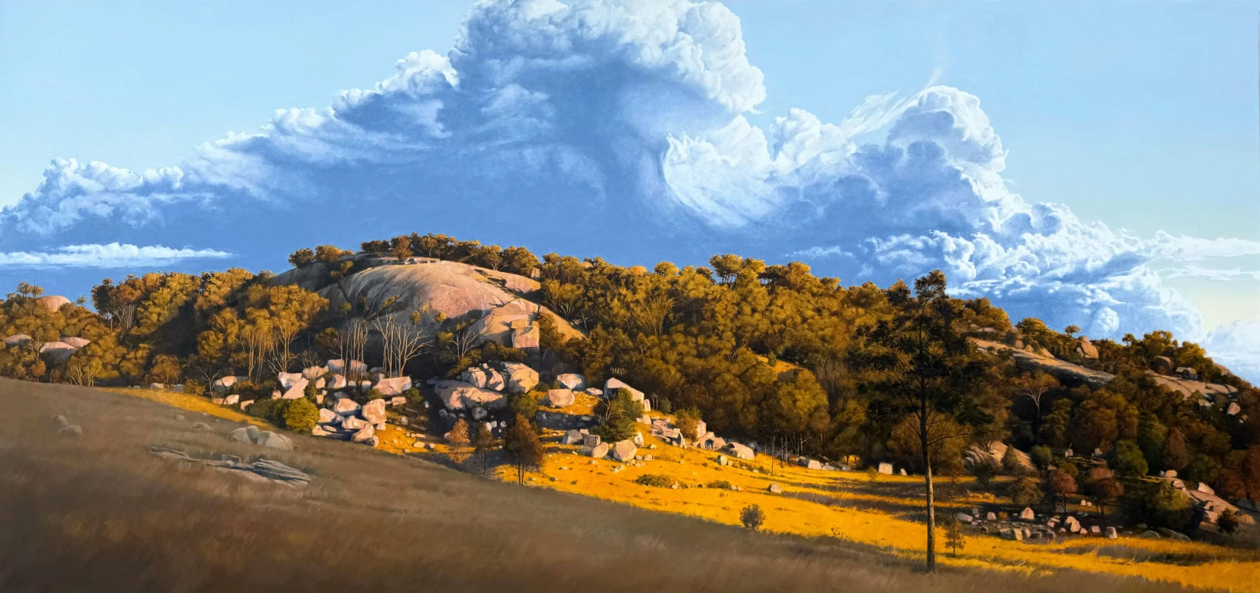 The weight of afternoon light - Tenterfield