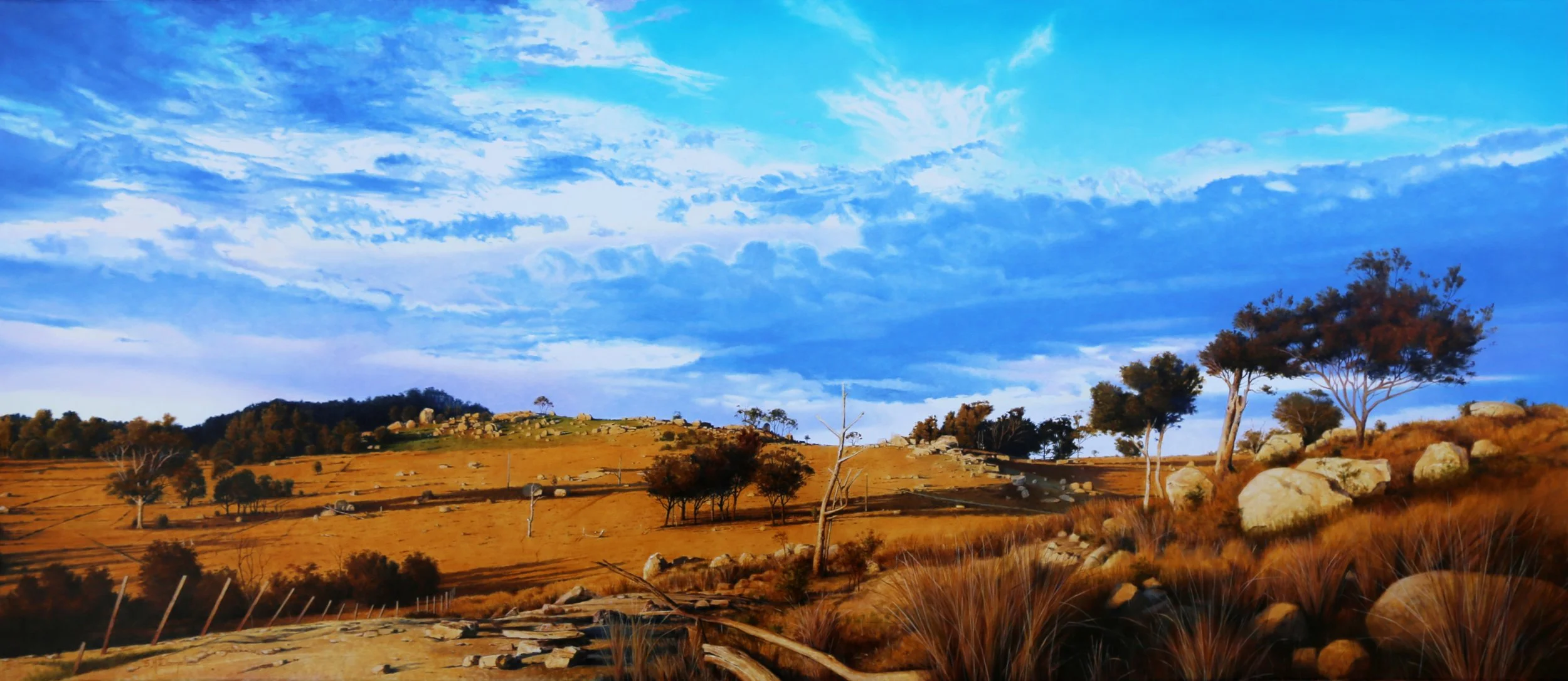 Big sky, Tenterfield_65cm x 150cm_oil on canvas.JPG