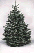 tree_noble.gif