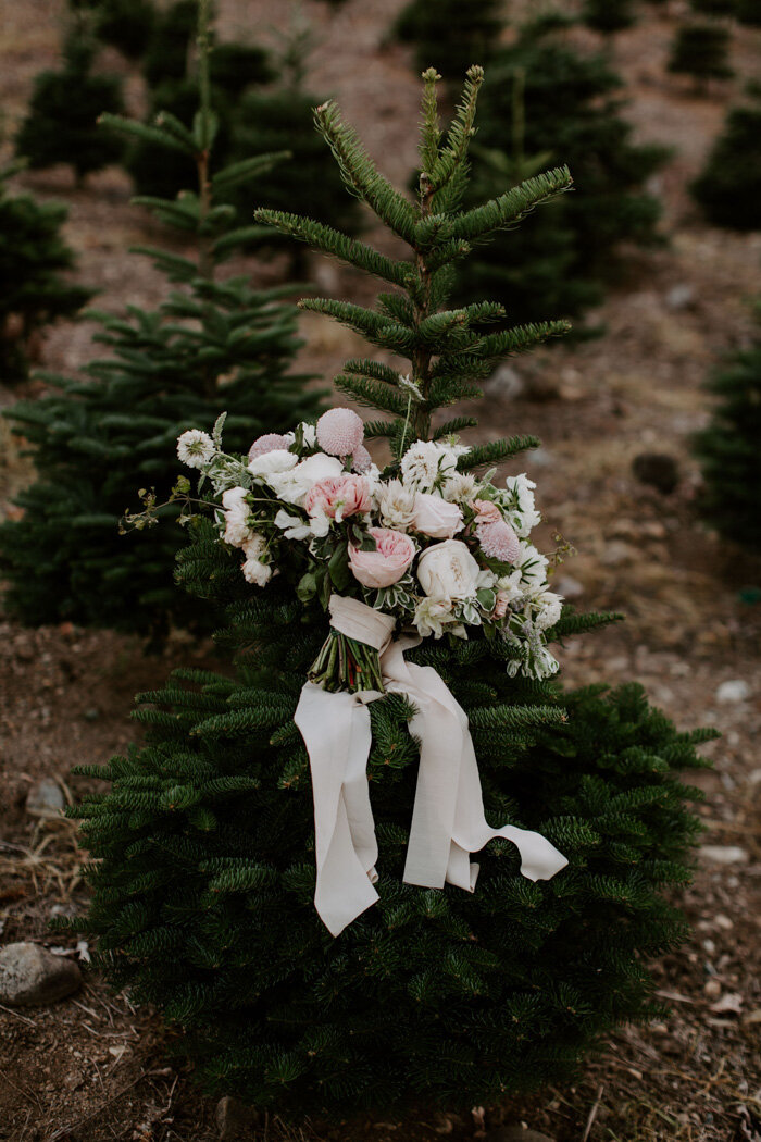 this-trinity-tree-farm-wedding-shows-how-to-put-a-modern-sophisticated-spin-on-outdoorsy-affairs-hannah-posey-43.jpg