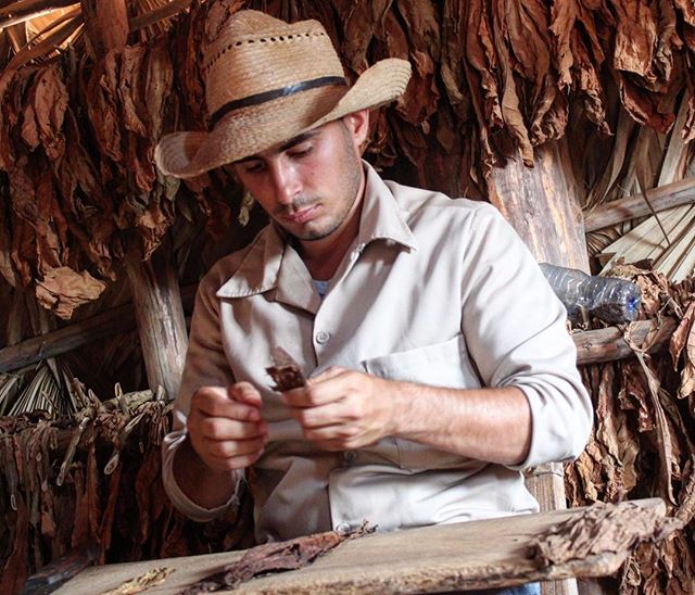 In Vi&ntilde;ales rolling a fresh cigar. #cuba #cubano #cubancigars #vi&ntilde;ales #habanos #travel #travelgram #travelpics