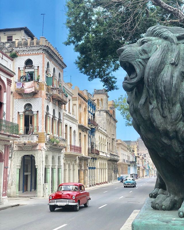 Cuba is a rolling museum of vintage American classic cars! 
Like this pic if you want to add taking a ride top-down through the colorful streets of Havana in one of these to your bucket list!
@hiphavana &bull;
&bull;
&bull;
📷: @quailtree