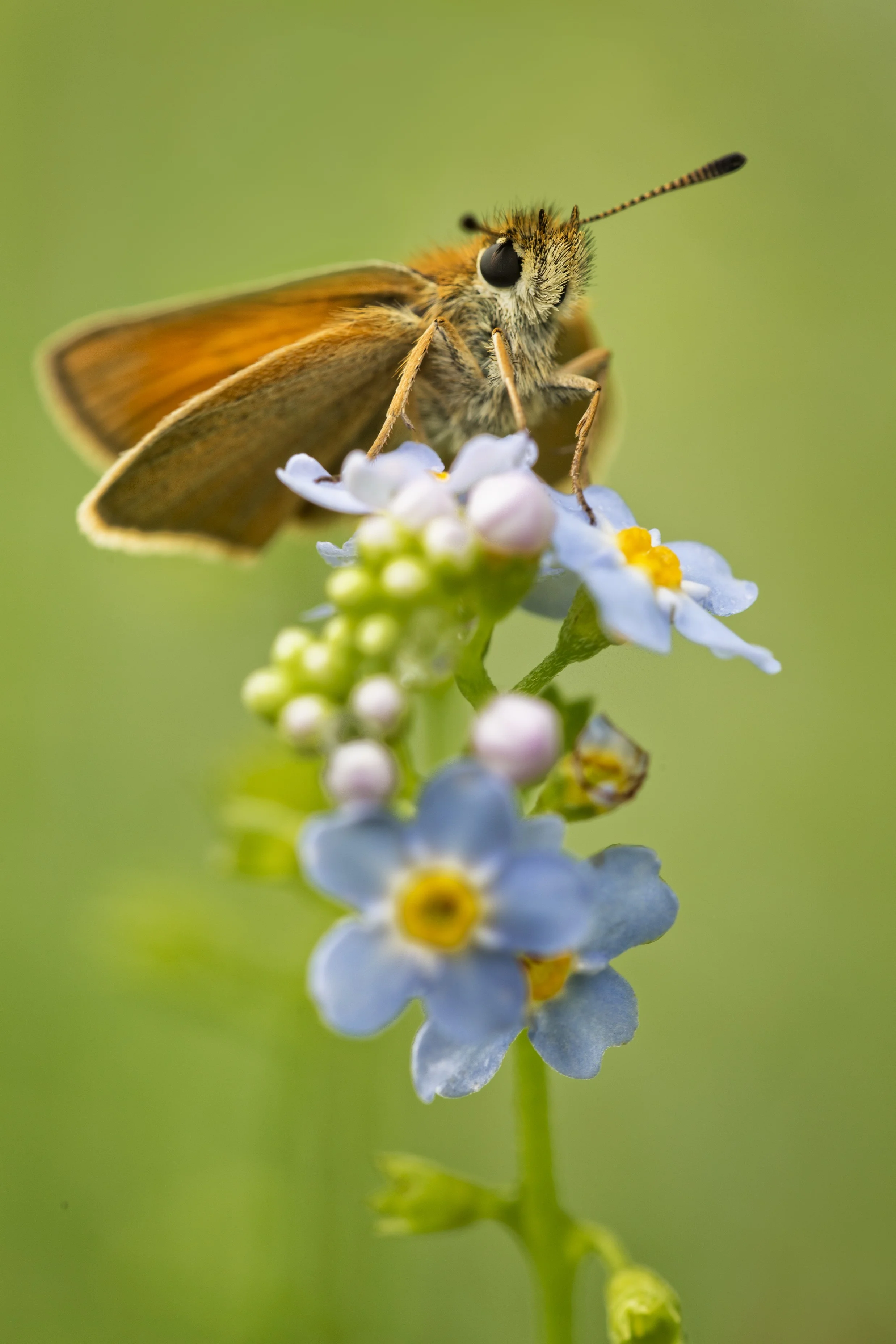 150619_115pe.jpg