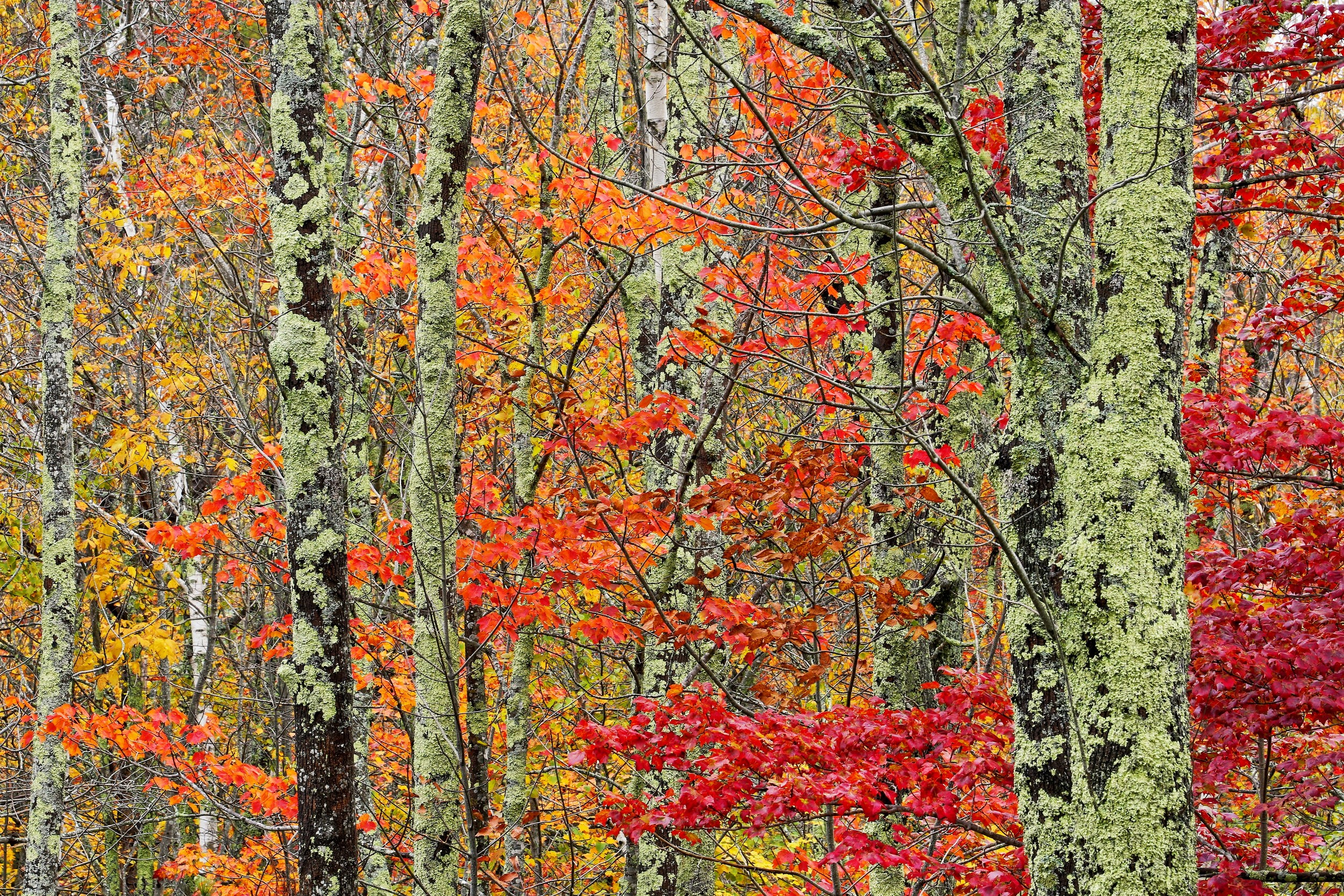 121014_326.jpg