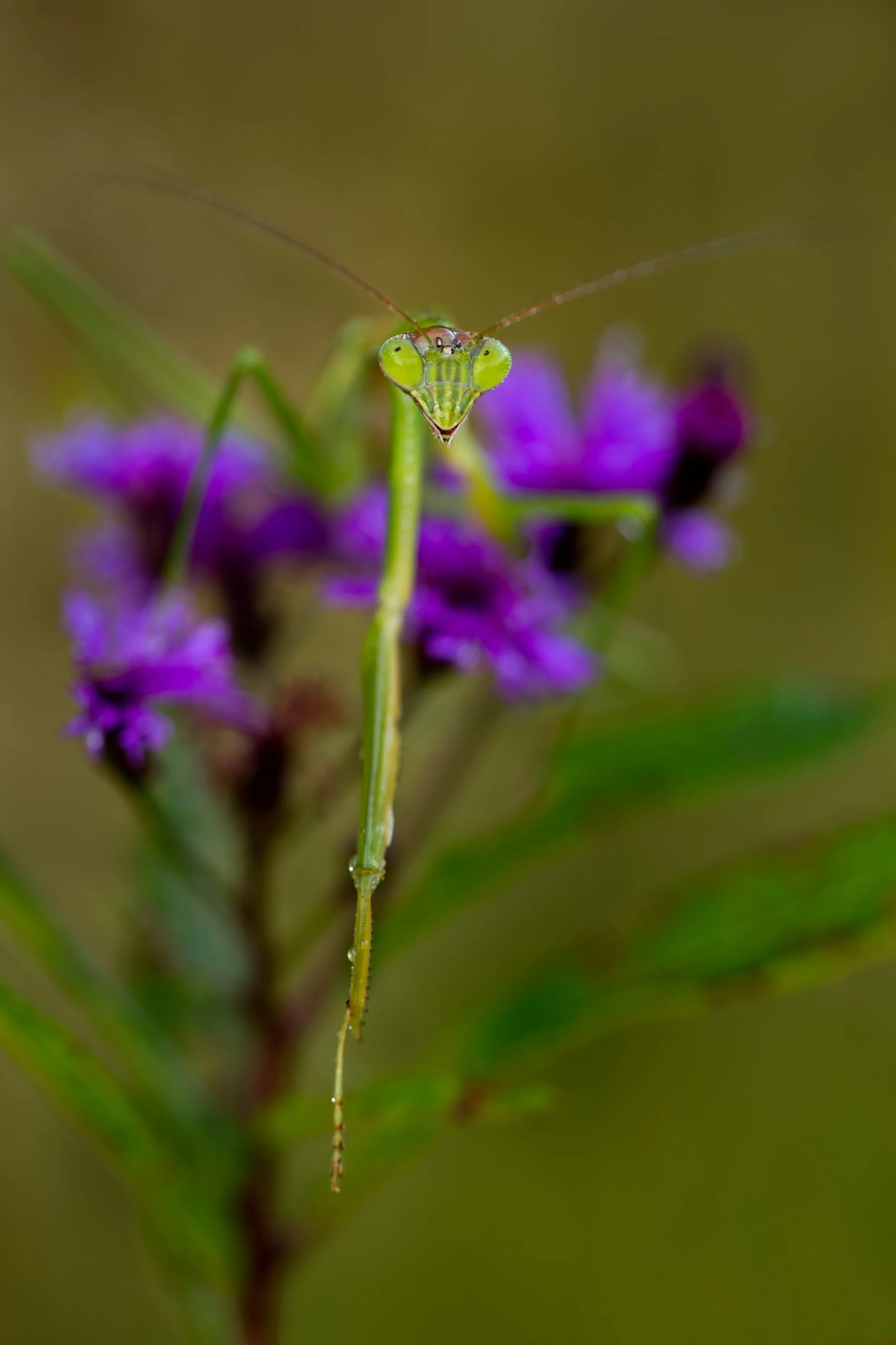 120829_019.jpg