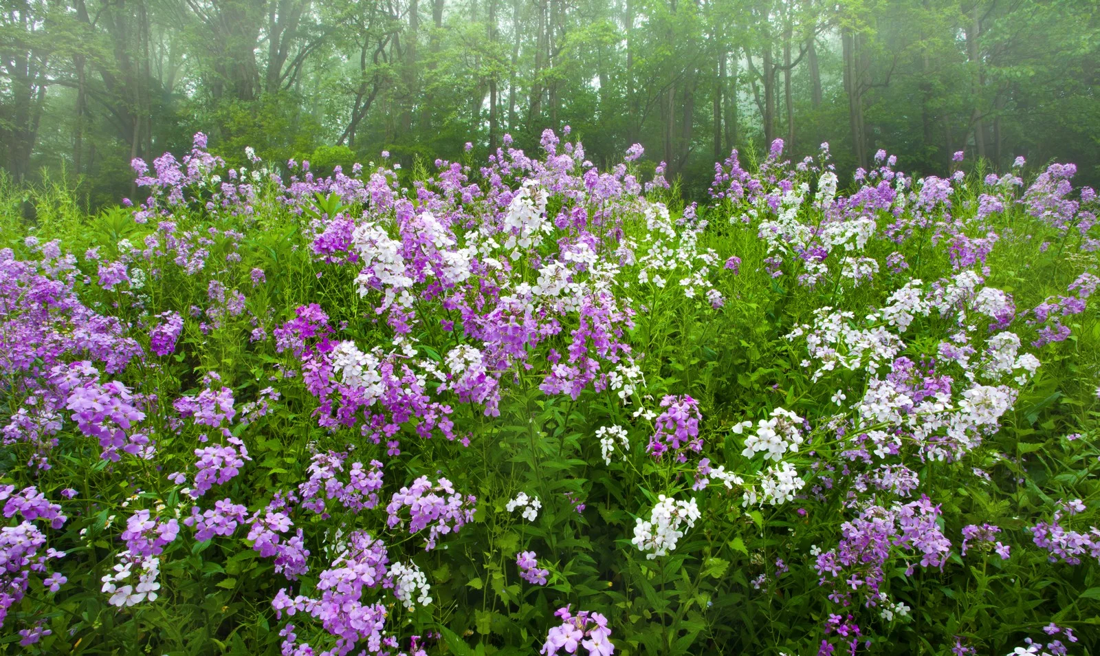 100523_115c.jpg
