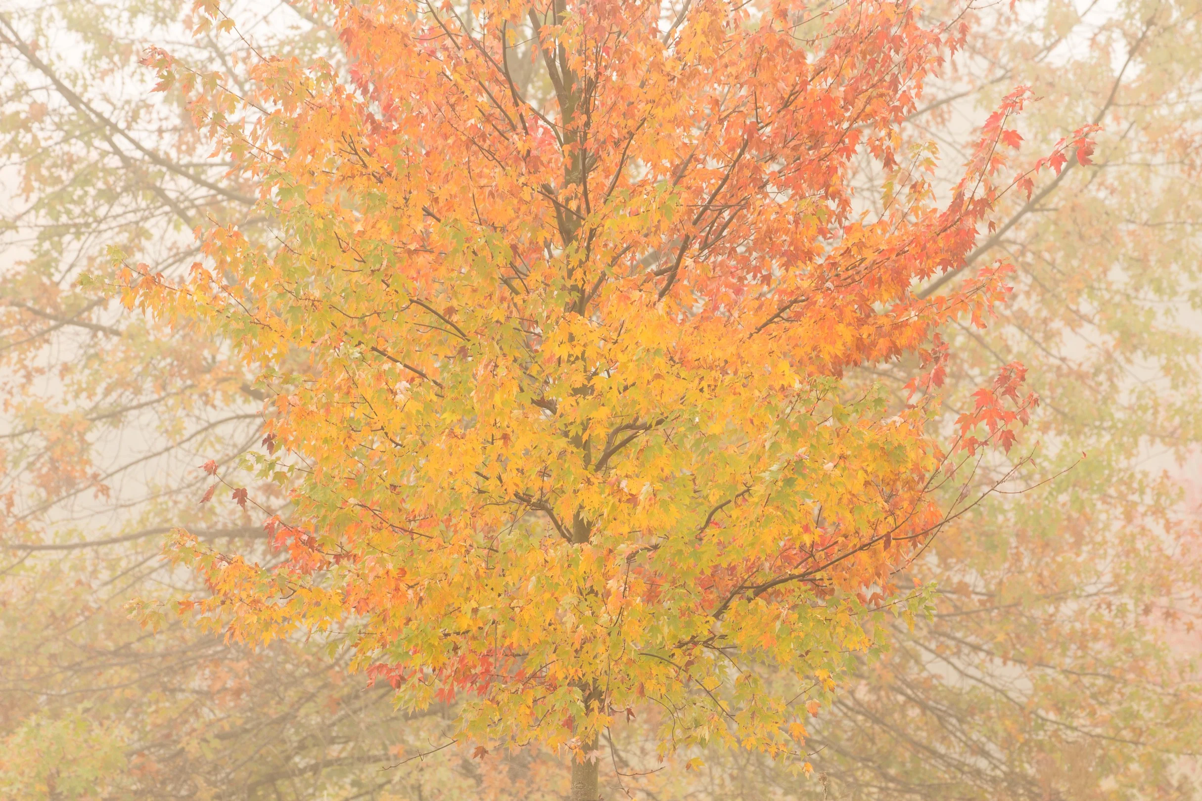 141010_007.jpg