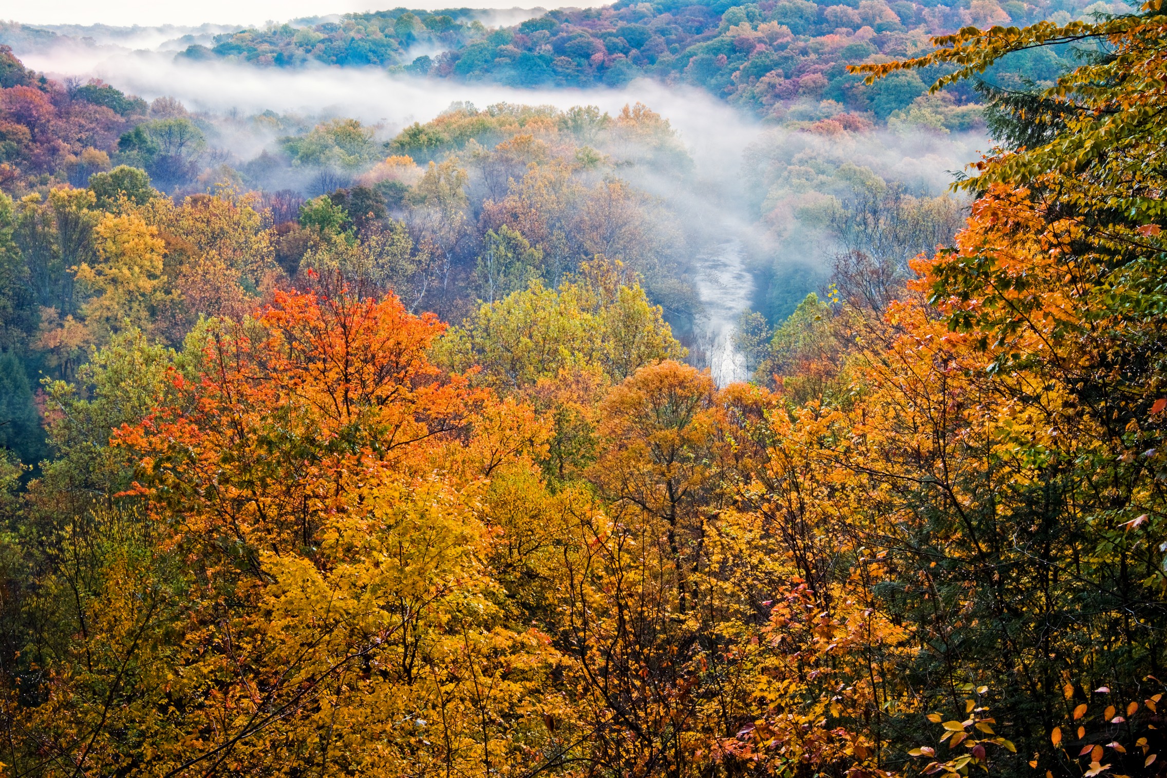 081025_015.jpg