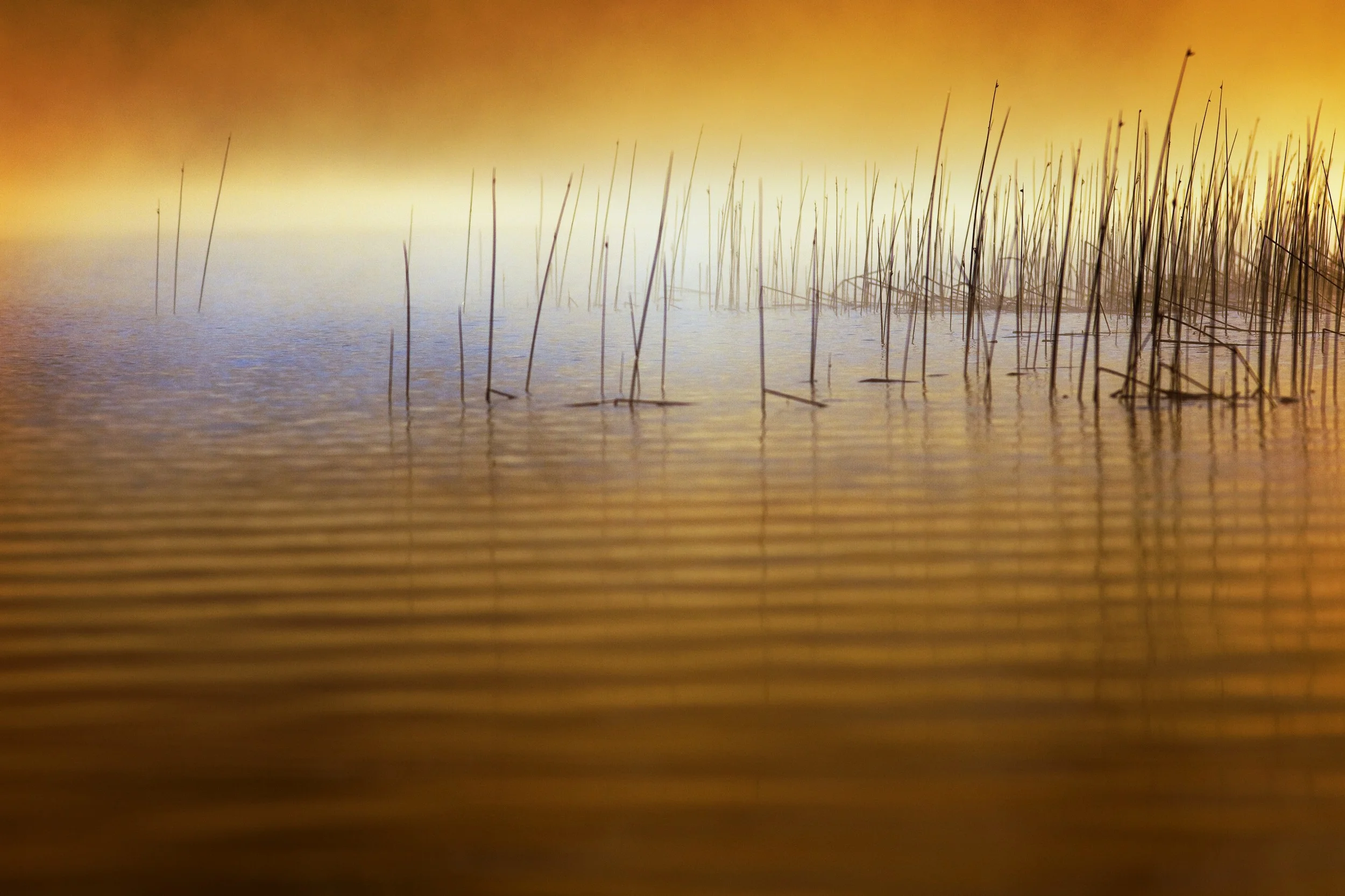 090623_002 vrk pe.jpg