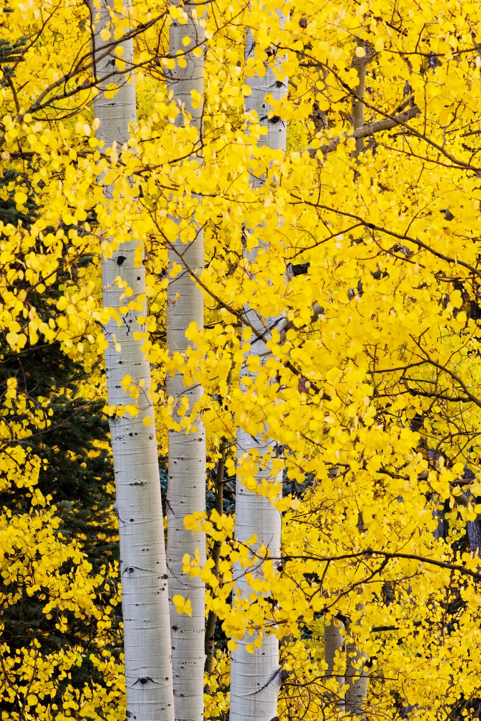 120928_062.jpg