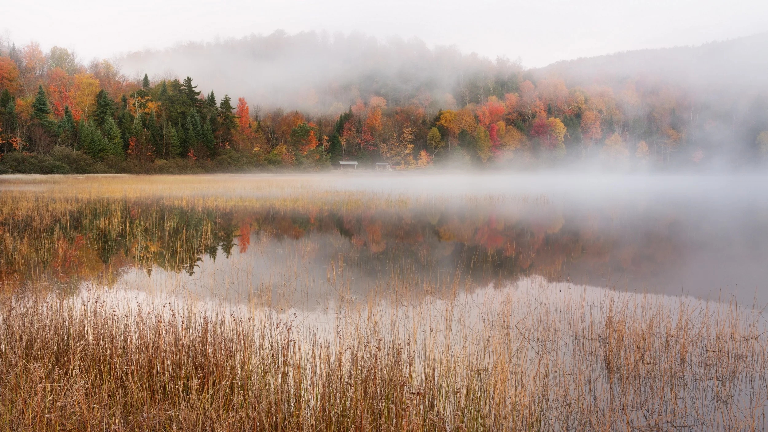 141006_012pan.jpg