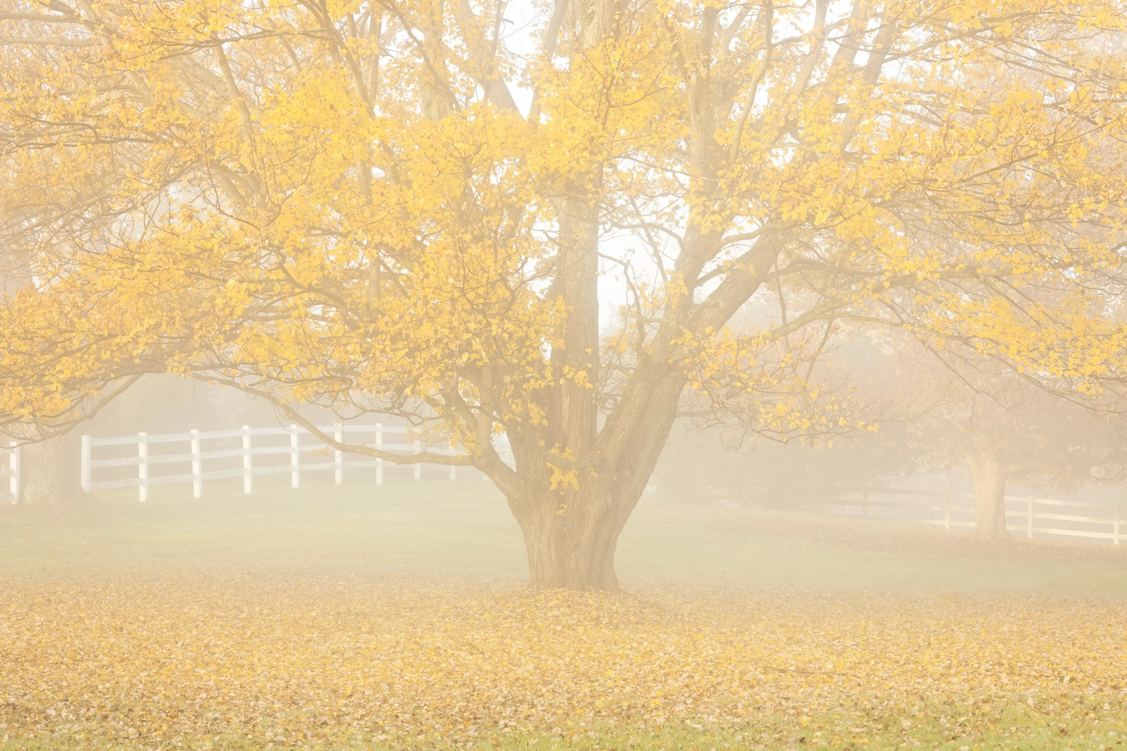 151023_013 pe.jpg