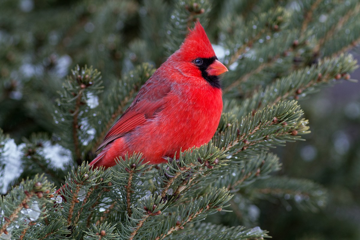 120128_009.jpg