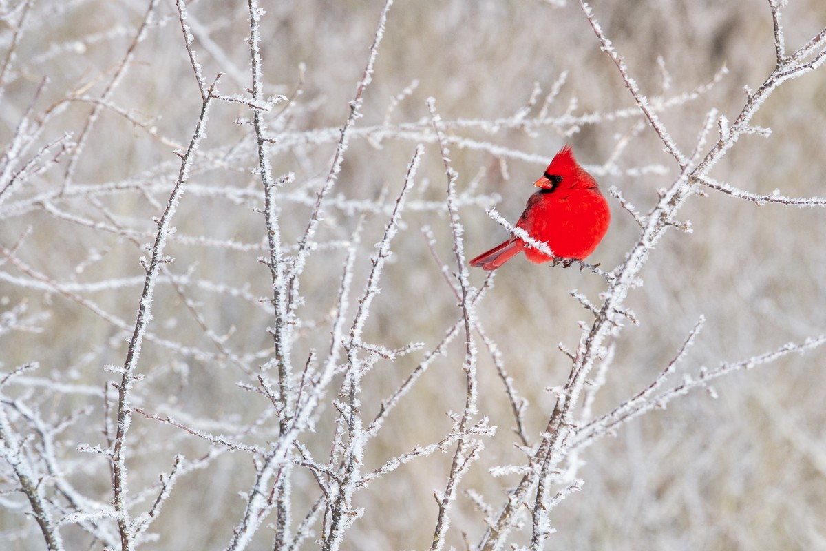 130103_009.jpg