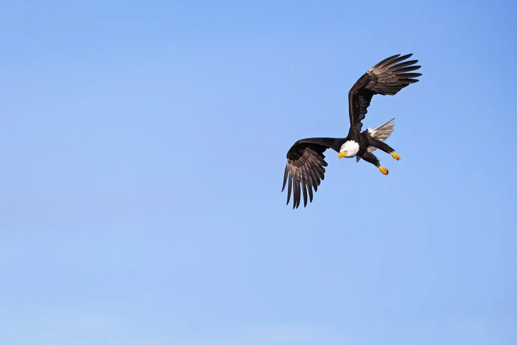 160314_0484 copy.jpg