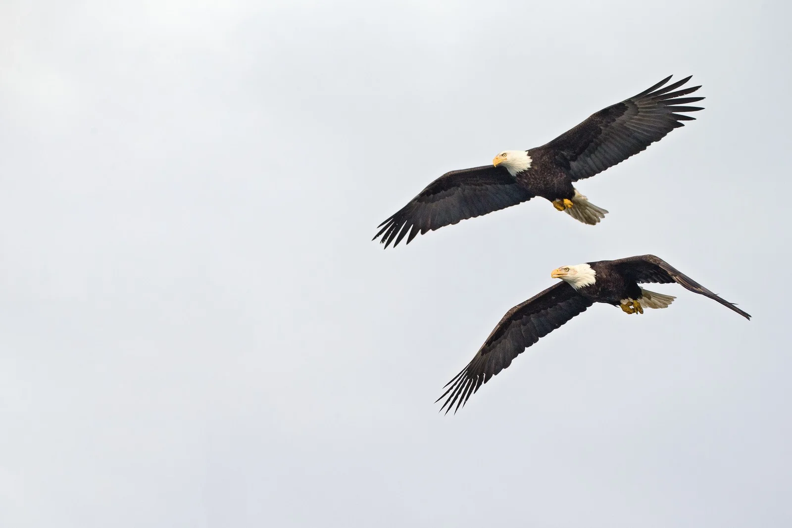 160315_1100 copy.jpg