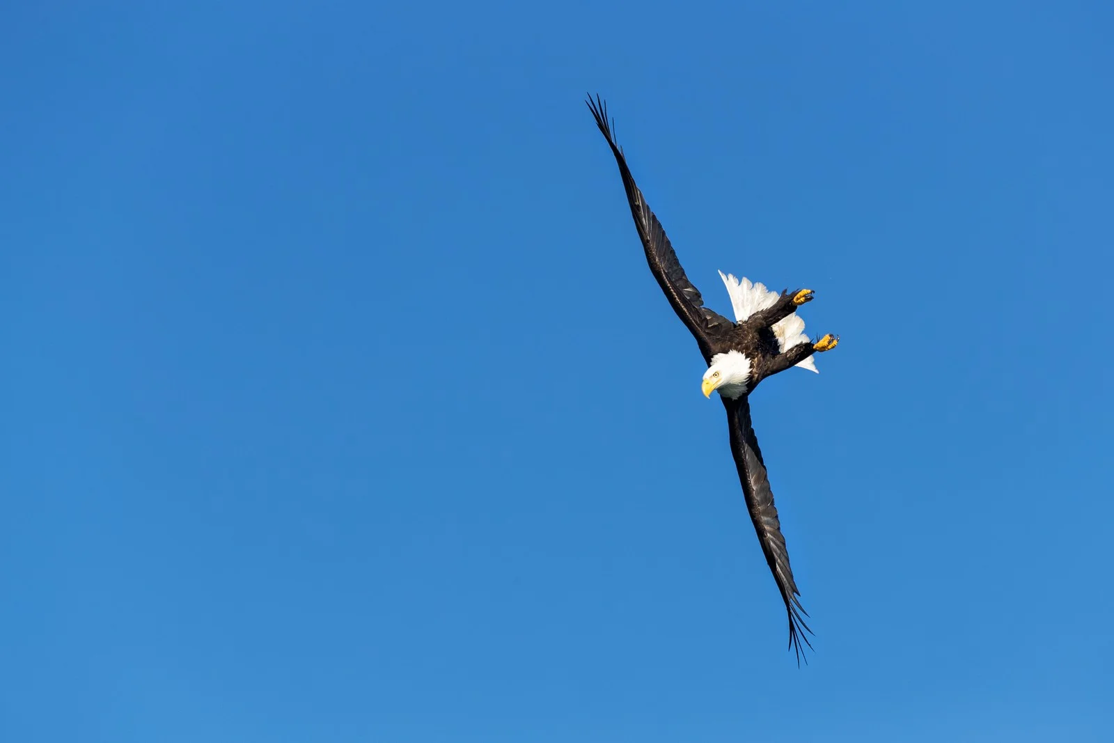 170302_3382.jpg