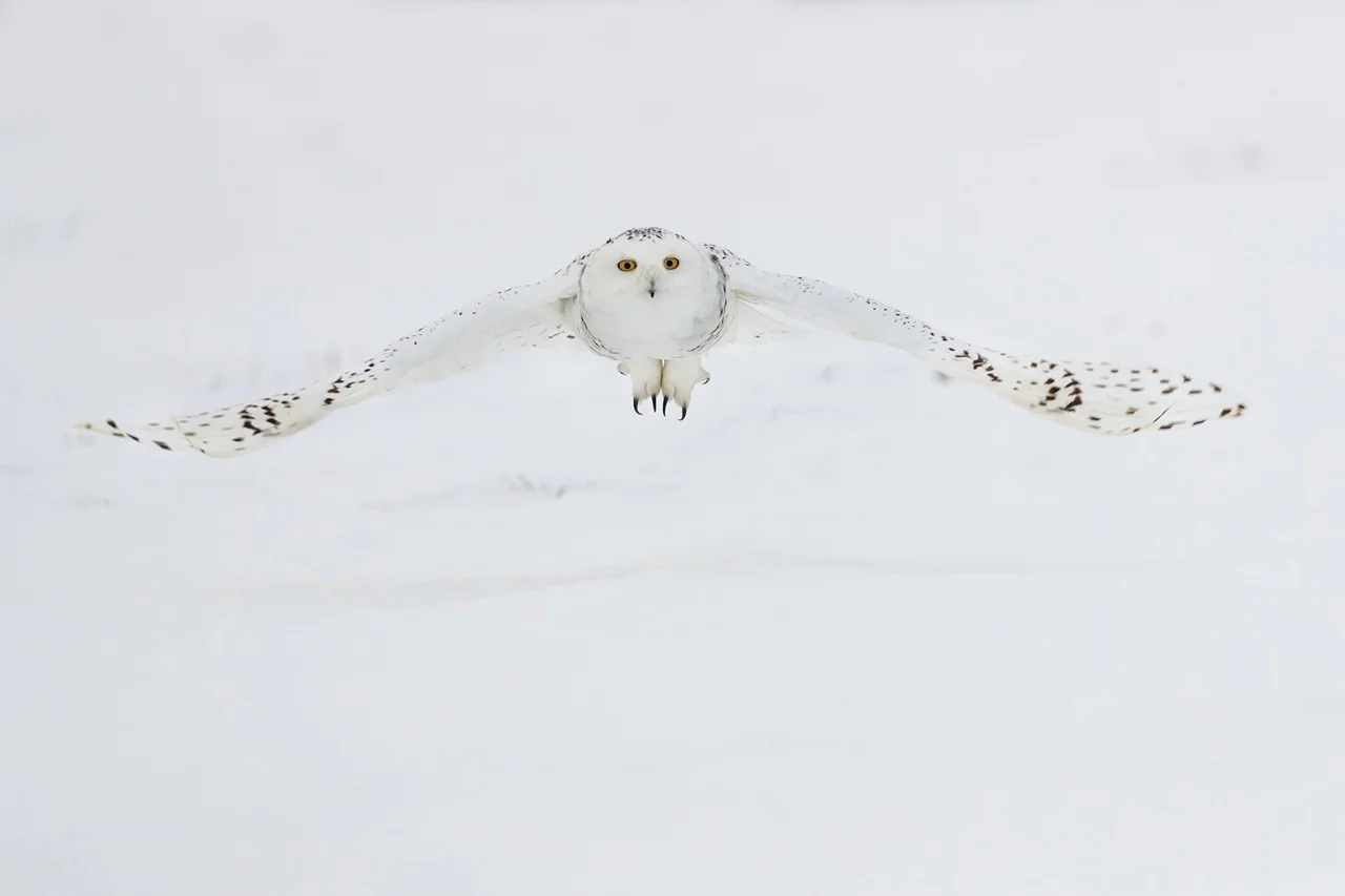 180122_RAW_0103.jpg