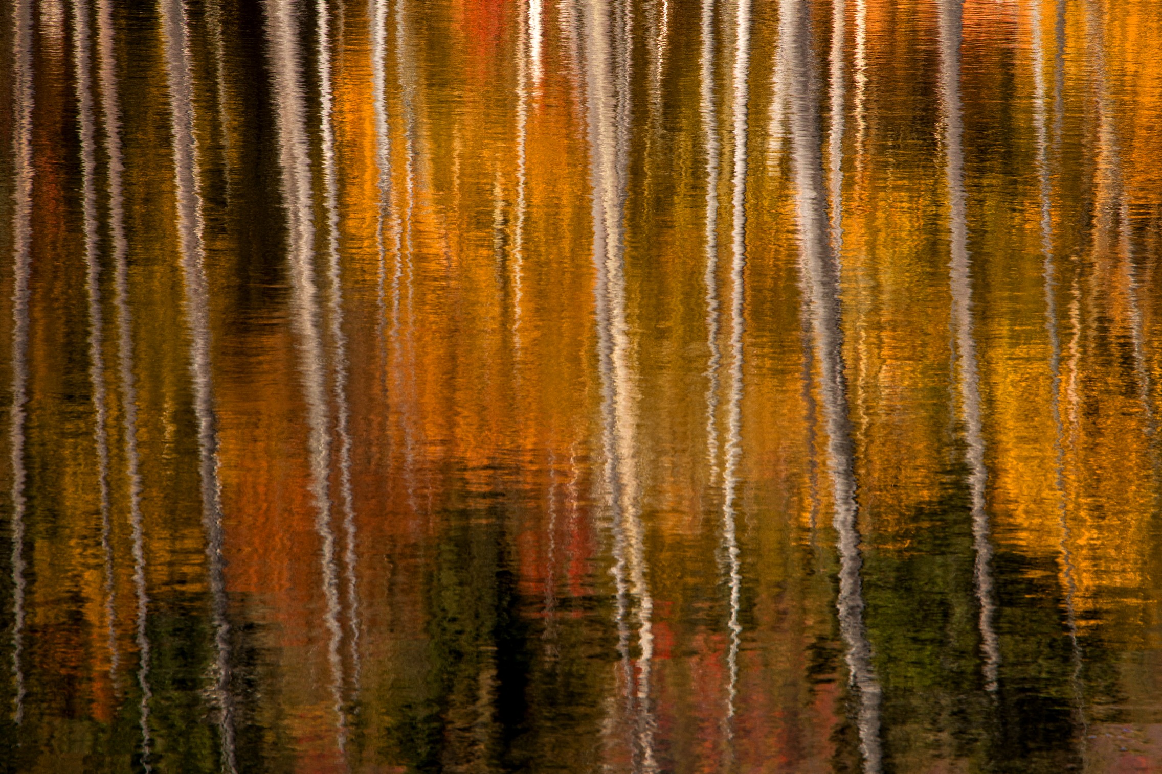 141006_448 copy.jpg