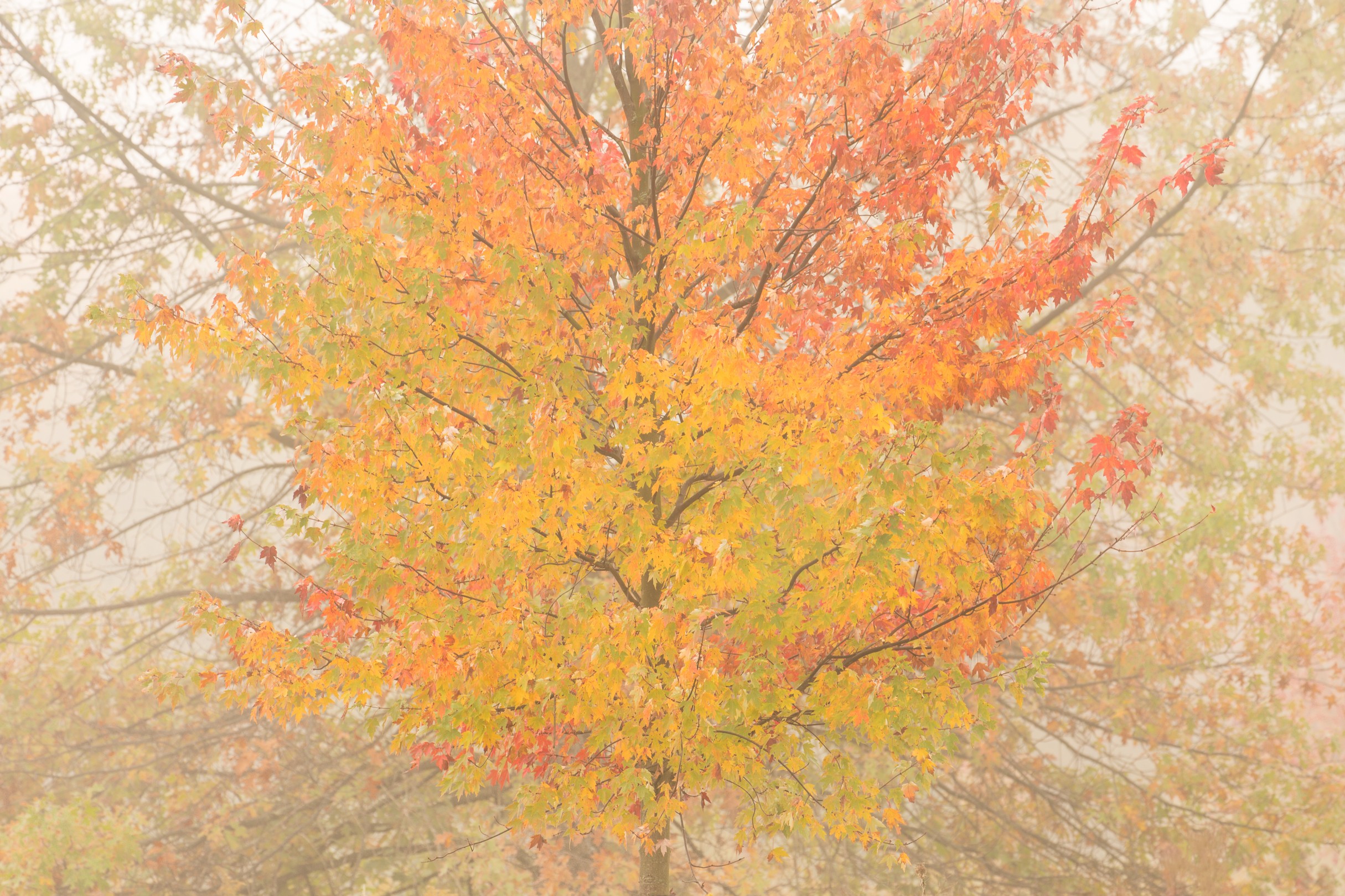 141010_007.jpg