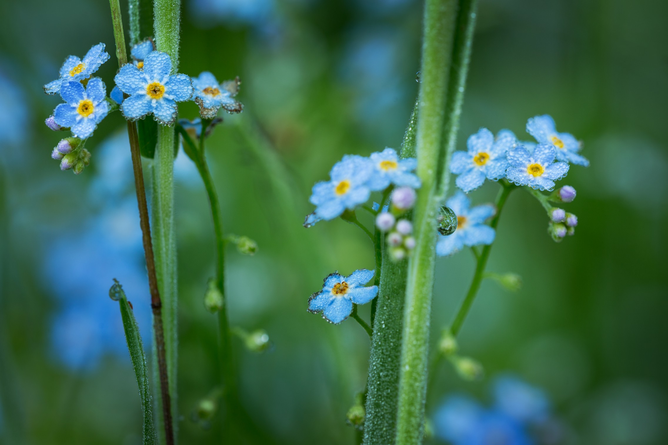 140615_009.jpg