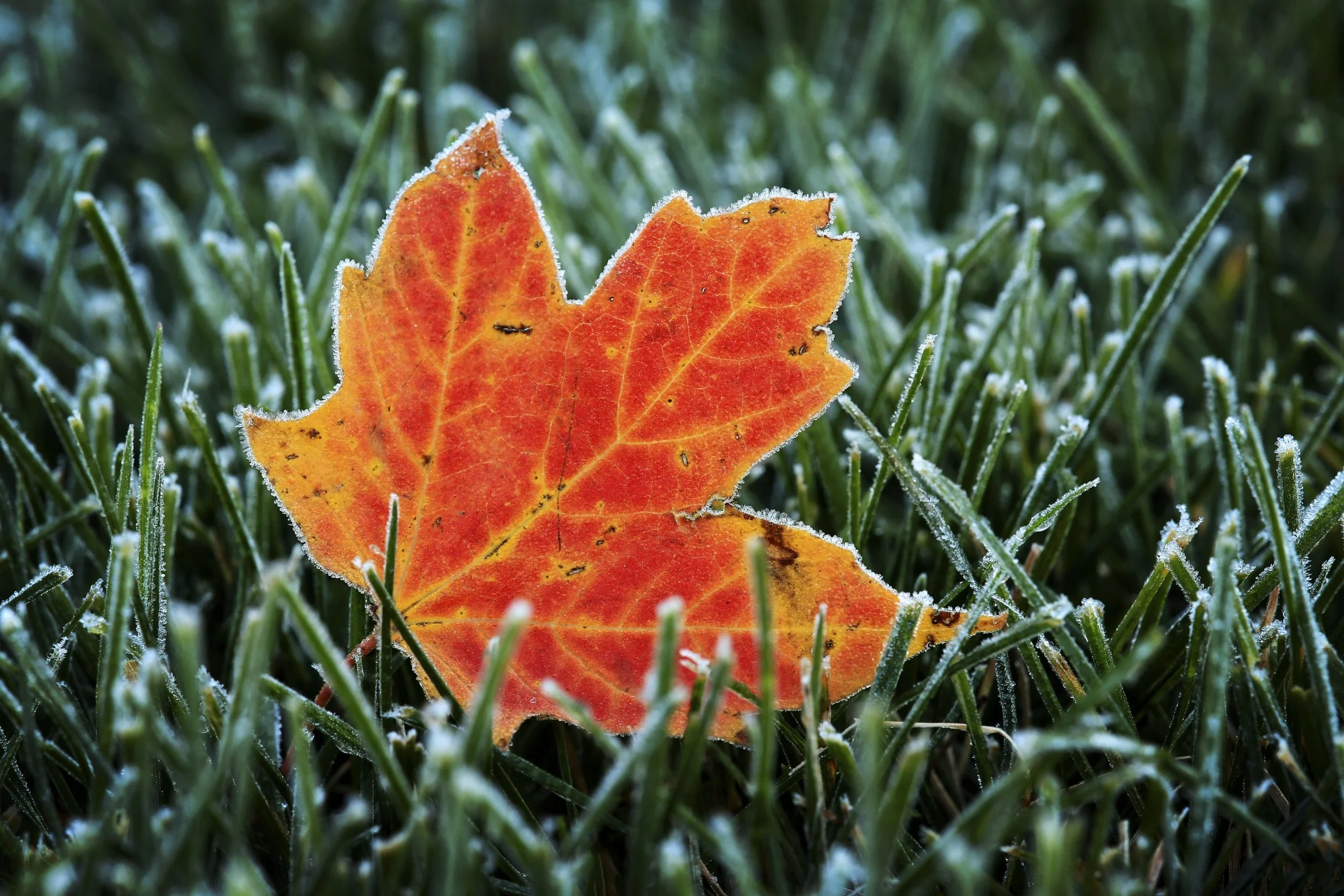 151026_001.jpg