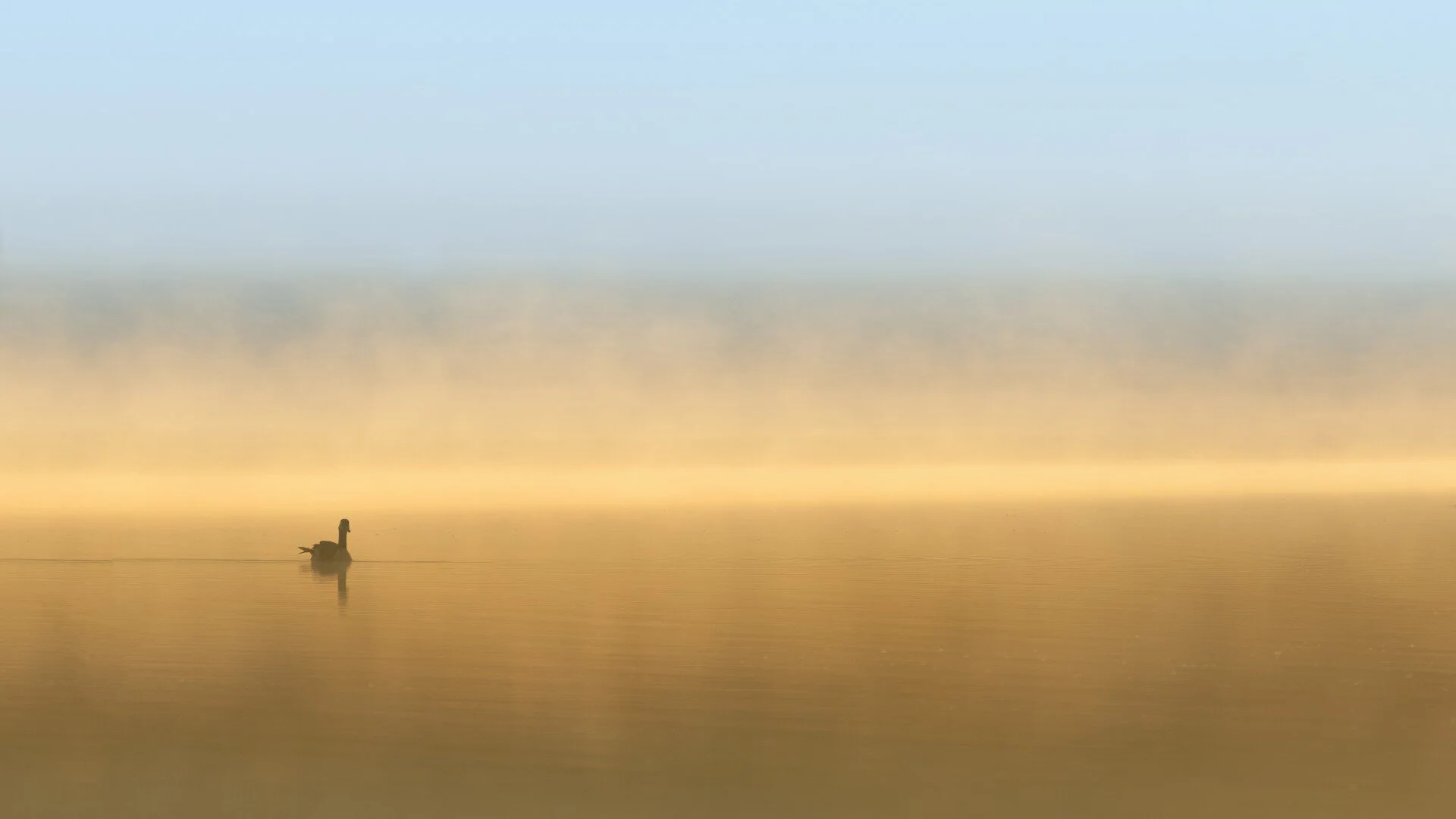 151006_124.jpg