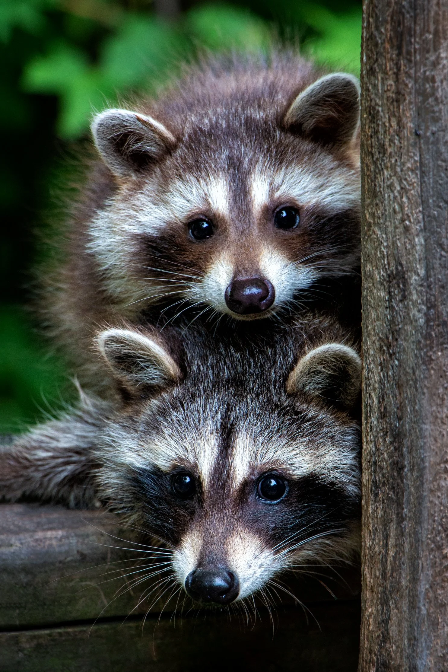 140626_019 straigten .jpg