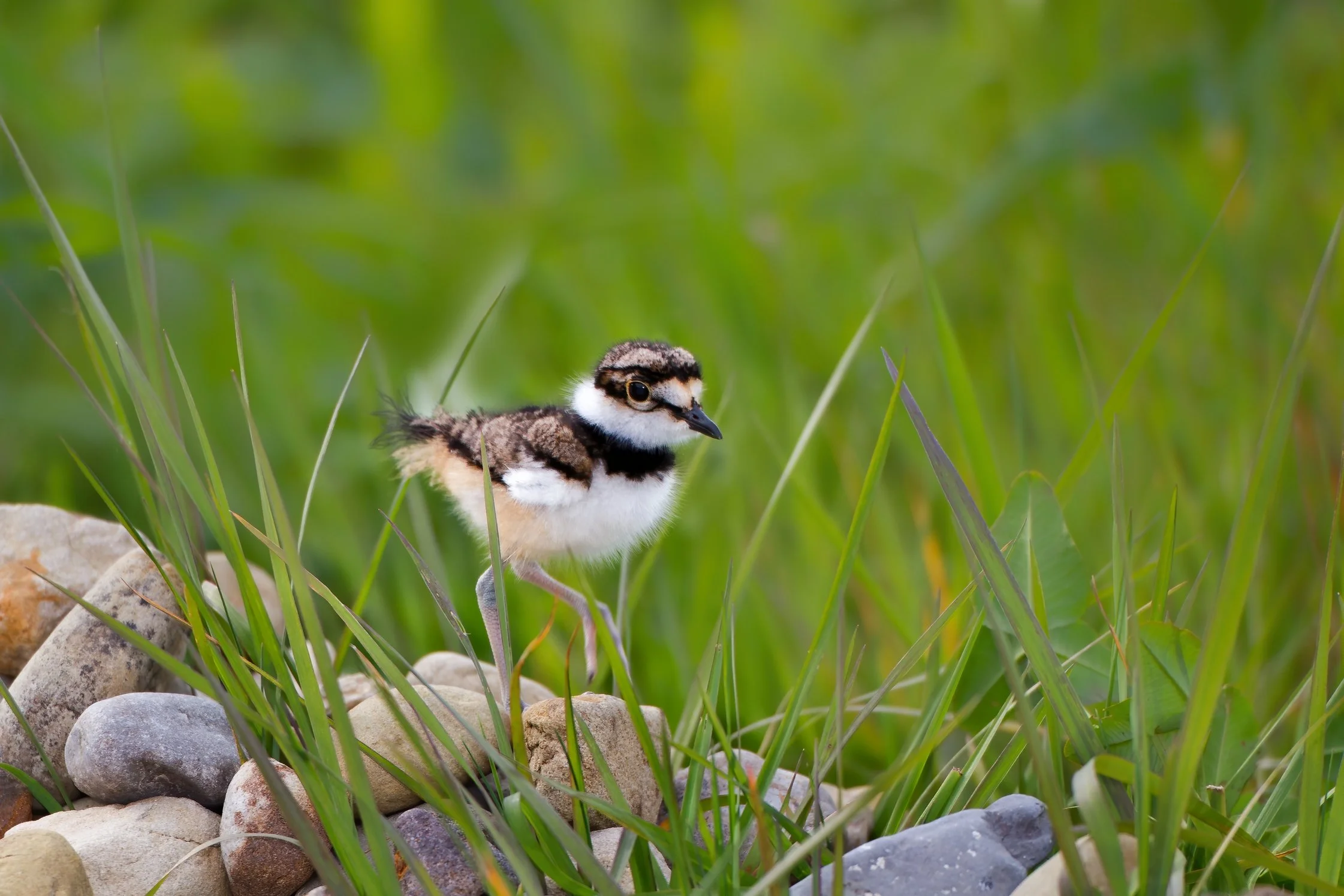 100516_119-Edit.jpg