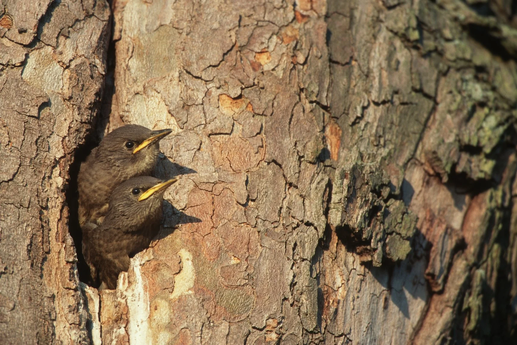 Scan-140530-0046 -.jpg