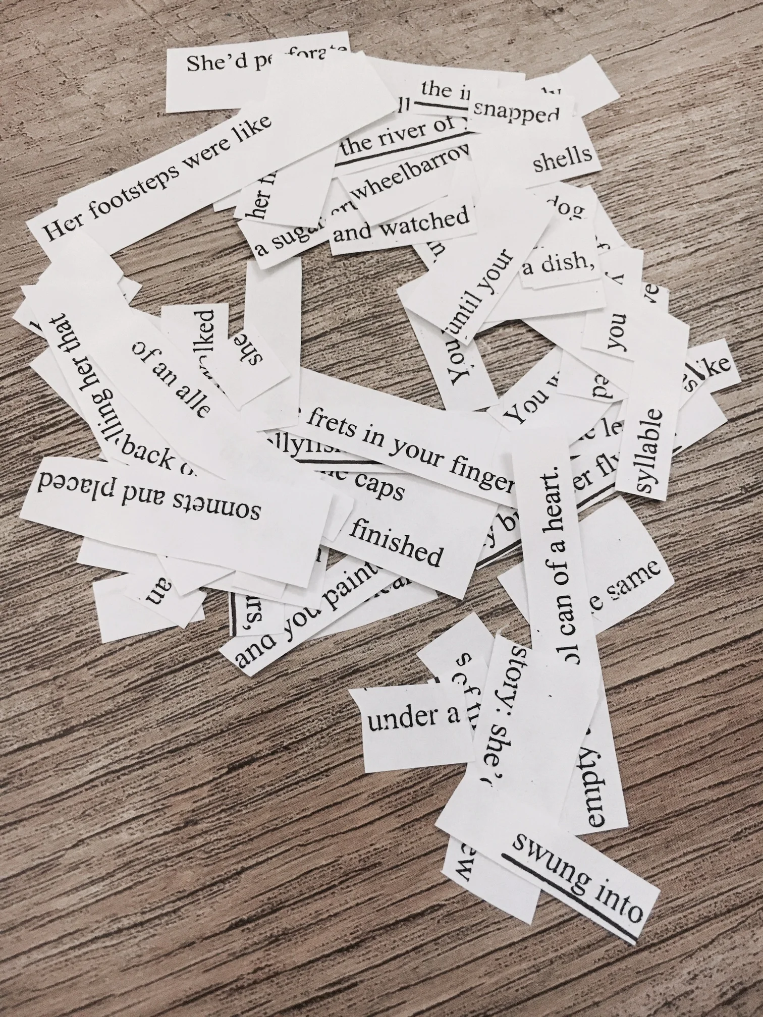 found poem scraps.jpg
