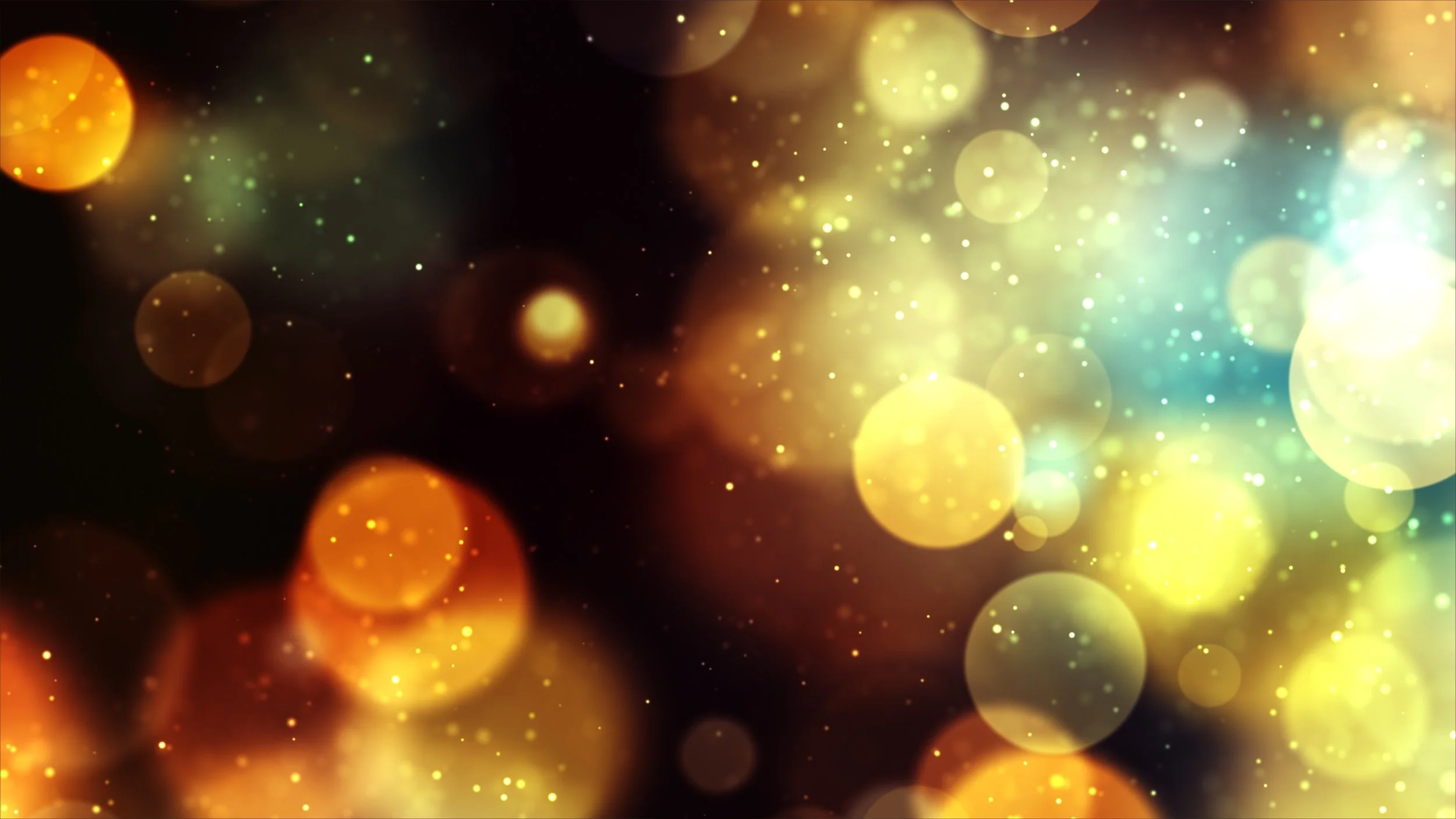 micro - bokeh.jpg