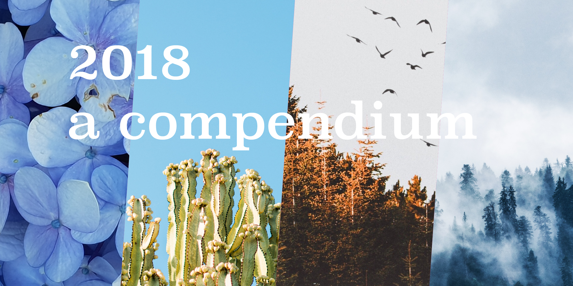 Every Poem, Story, & Flash Shared in 2018