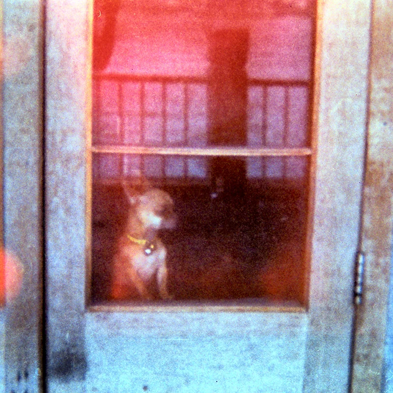 Holga film photography by WANRU KEMP