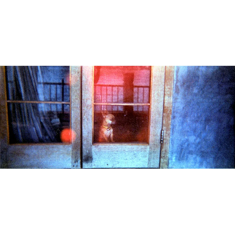 Holga film photography by WANRU KEMP