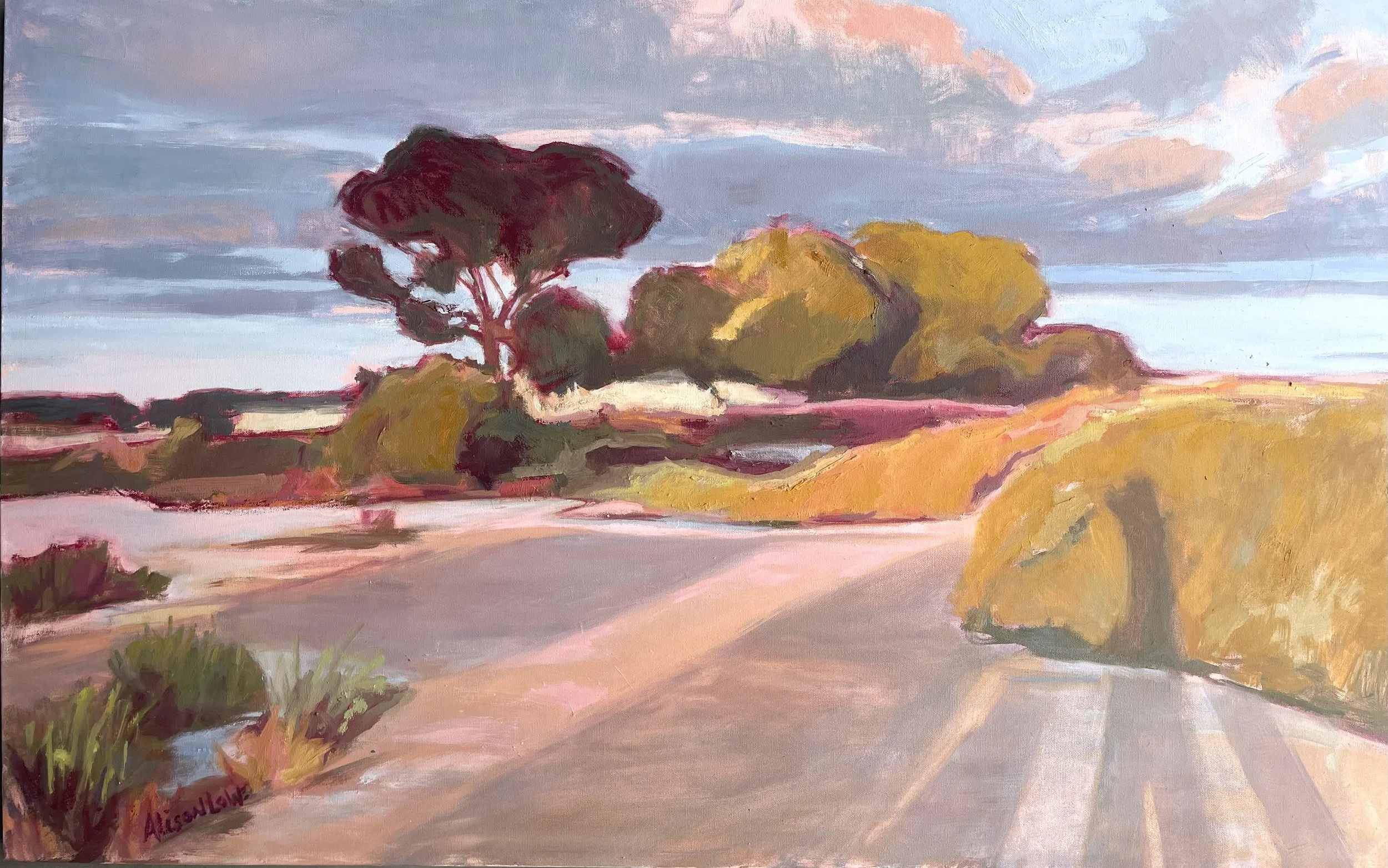 Landscape of trees and sky with long shadows leading towards them.