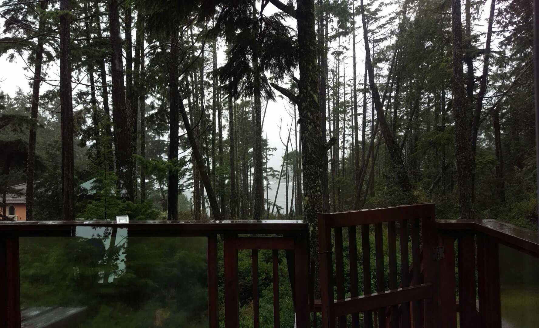 The west coast of Vancouver Island - Tofino/Ucluelet area - is my favorite place on earth and probably always will be. People come from all over the world to experience its UNESCO world heritage-class beauty and serenity. It's a truly wild place, and because it's largely parkland and relatively remote (it takes a full day of travel from Vancouver, unless you fly in), it is a mecca of solace and quietude, where old growth forests covered with thick moss and ferns meet huge expanses of fine, sandy beach and the massive surf of the open ocean. It's a mecca for surfers, photographers and wildlife enthusiasts. It's remote enough to be unspoiled but accessible enough that the nearby towns of Tofino and Ucluelet feature beautiful galleries, restaurants and a thriving but relatively small tourist industry that serves ultra high-end hotels and campsites alike. This is the winter view from the deck of one of my dream houses, owned by a friend, steps from on the water in Ucluelet. This is the kind of place I would LOVE to have a retreat centre. Absolute paradise!