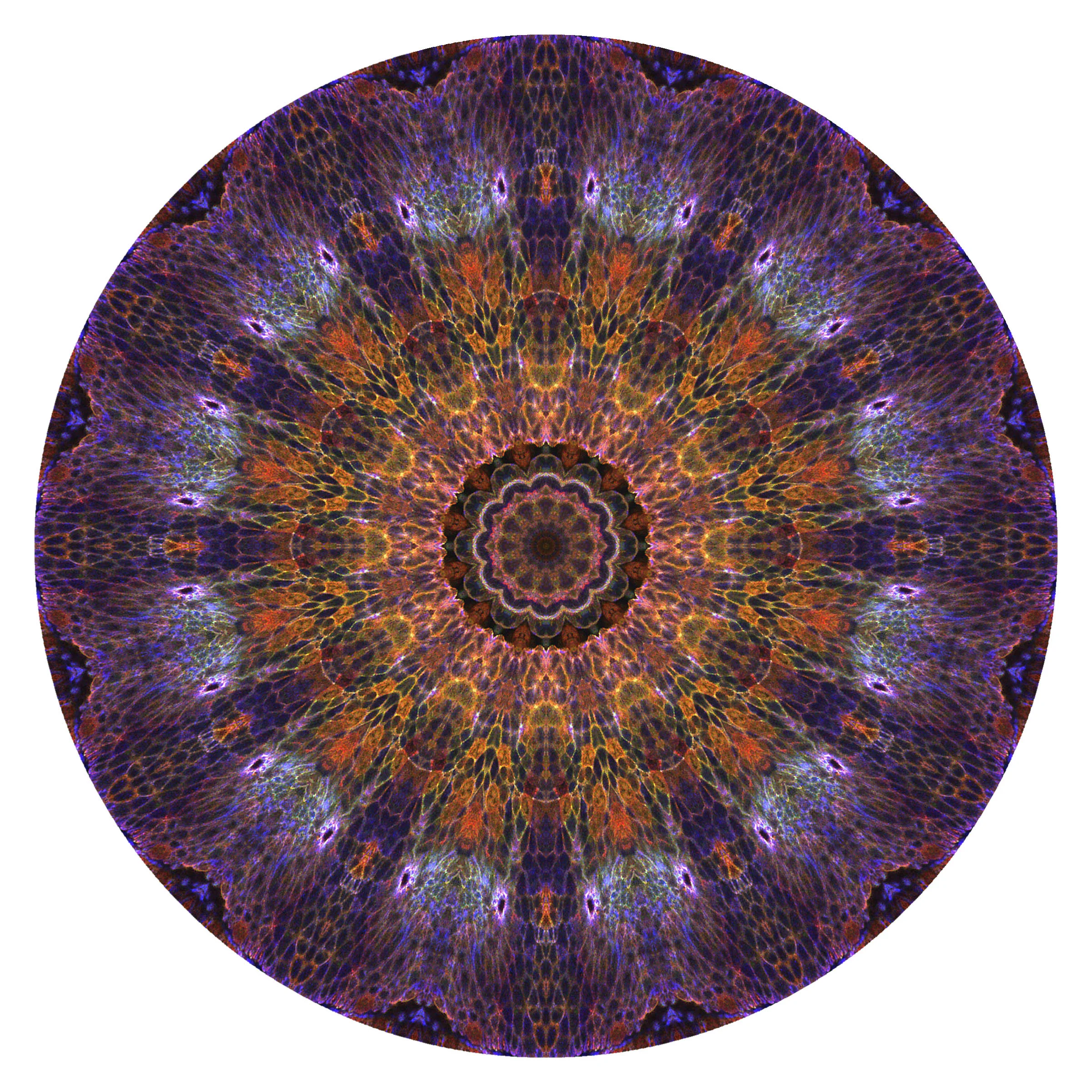Epithelial Mandala I