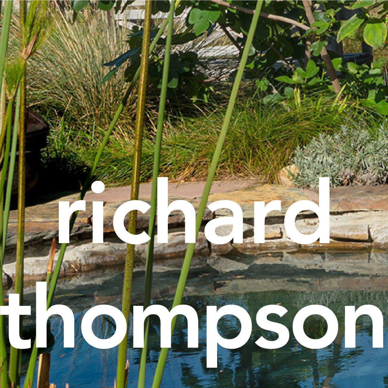 richard thompson.jpg