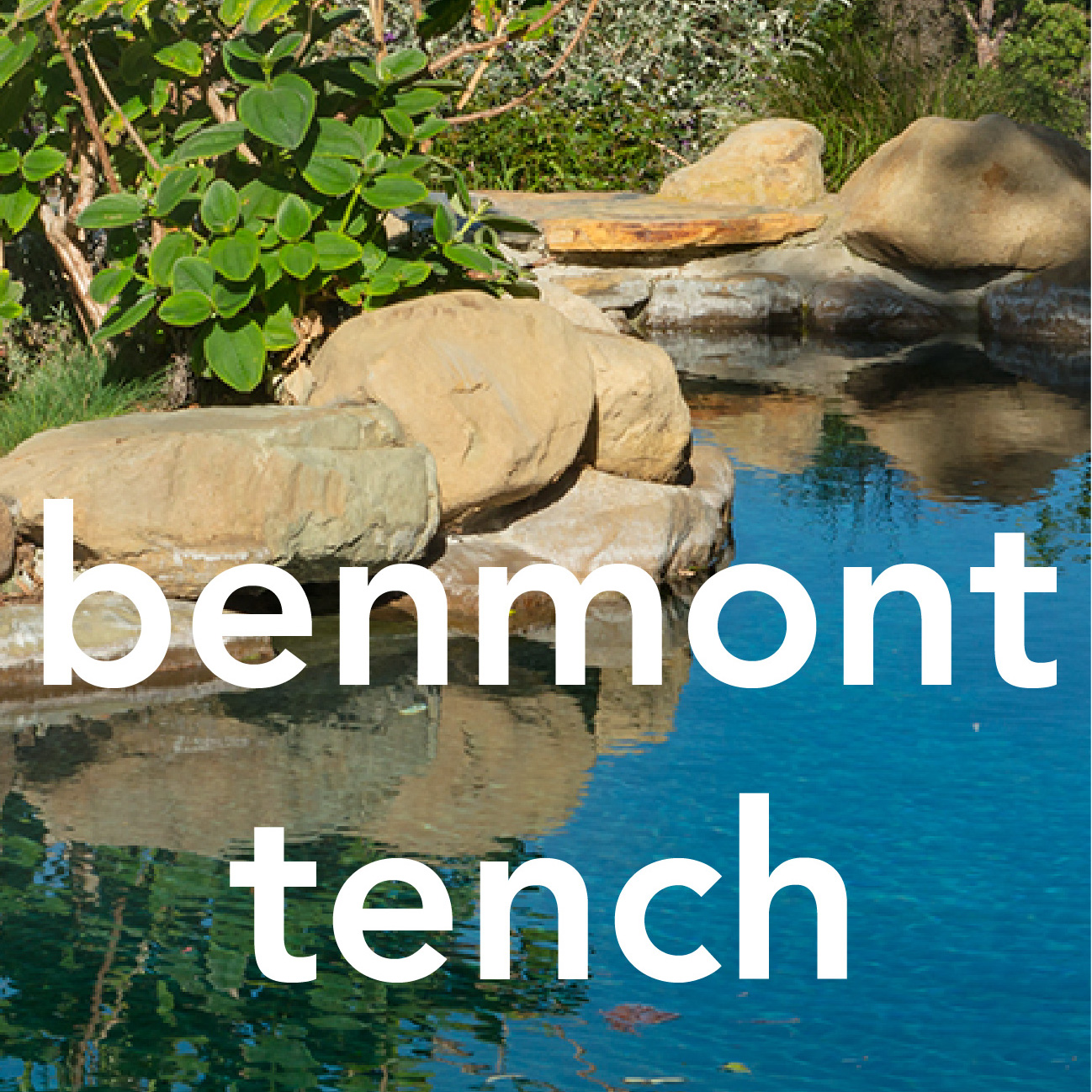 benmont-tench