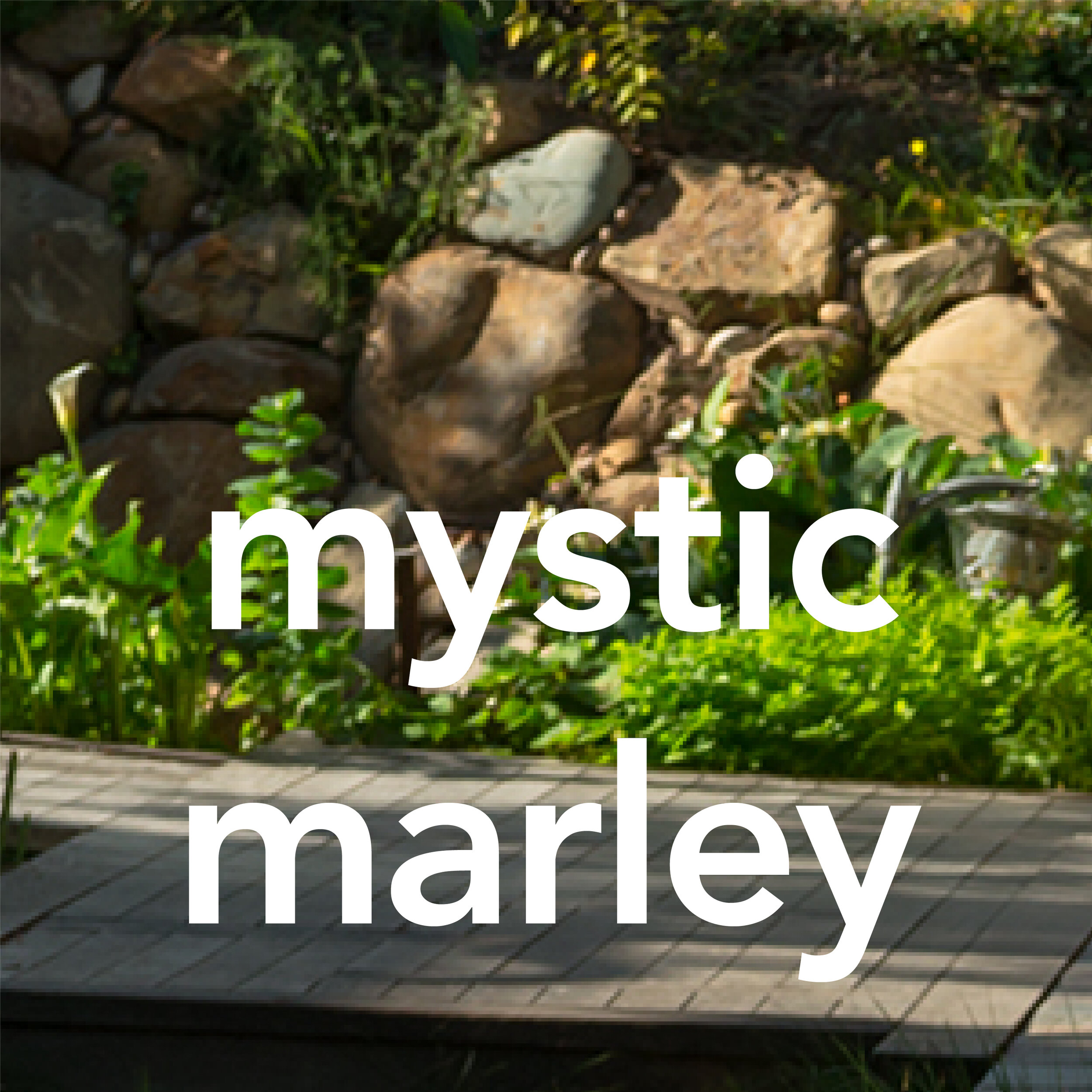 mystic marley.jpg