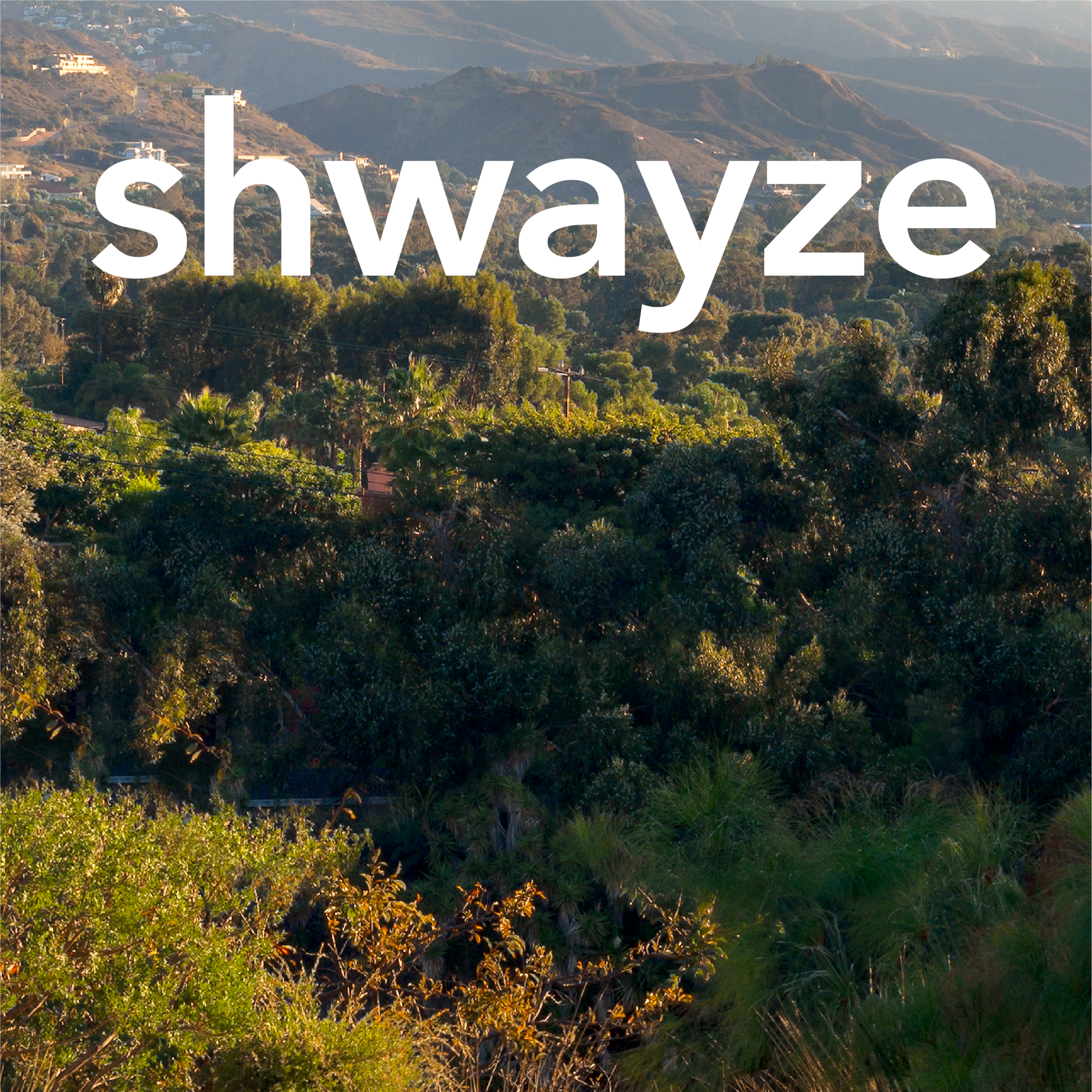 shwayze.png