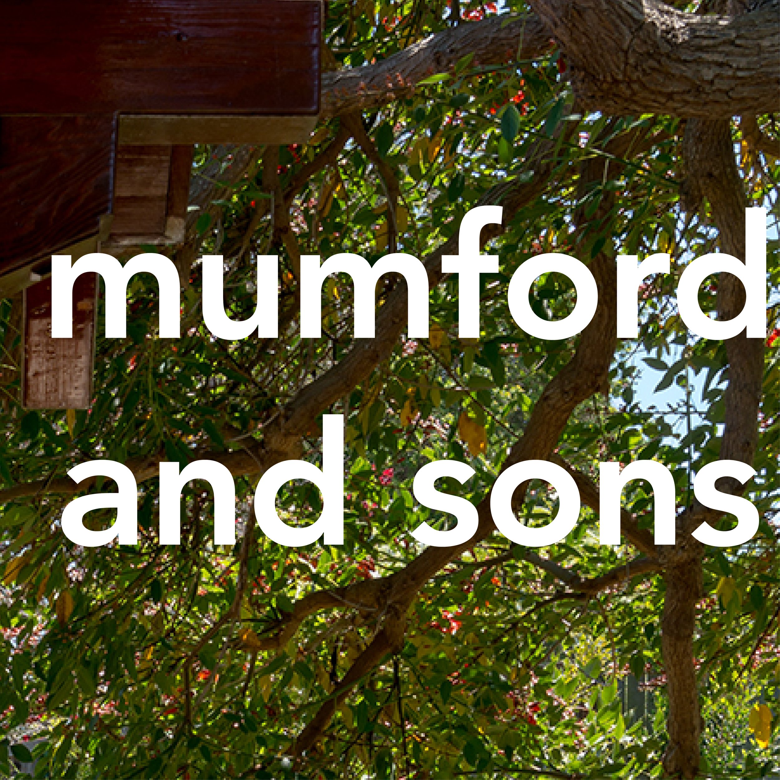 03_A_Mumford and Sons.jpg