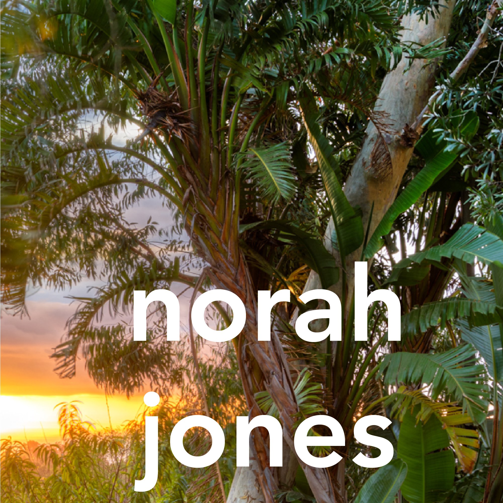 2c_norah-jones.jpg